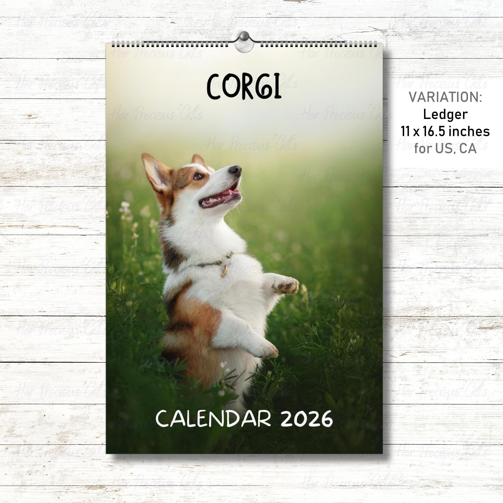 Corgi Calendar 2026
