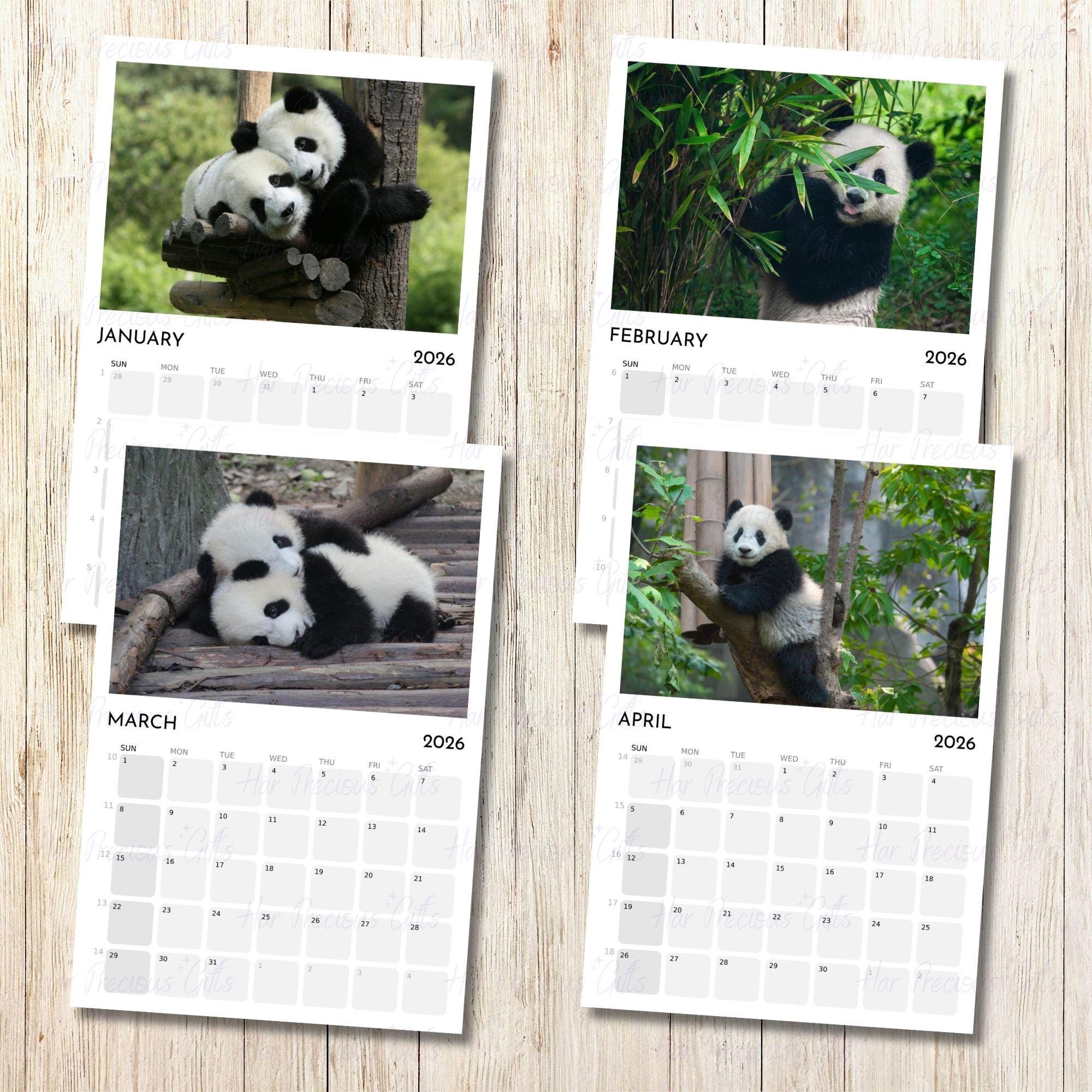 Panda Calendar 2026