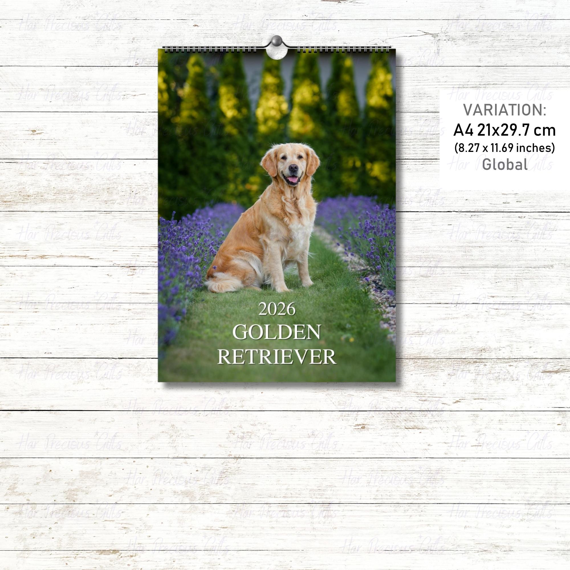 Golden Retriever Calendar 2026