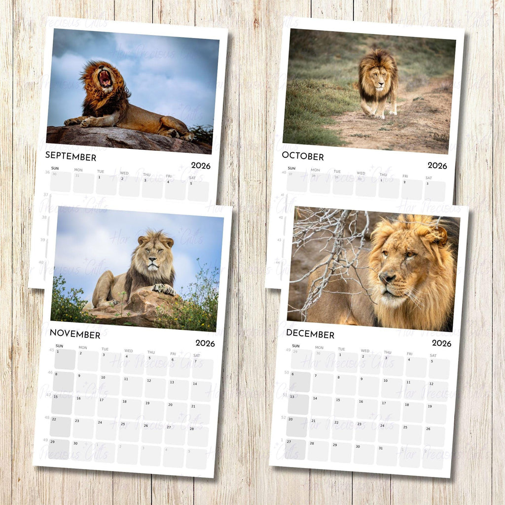 Lion Calendar 2026