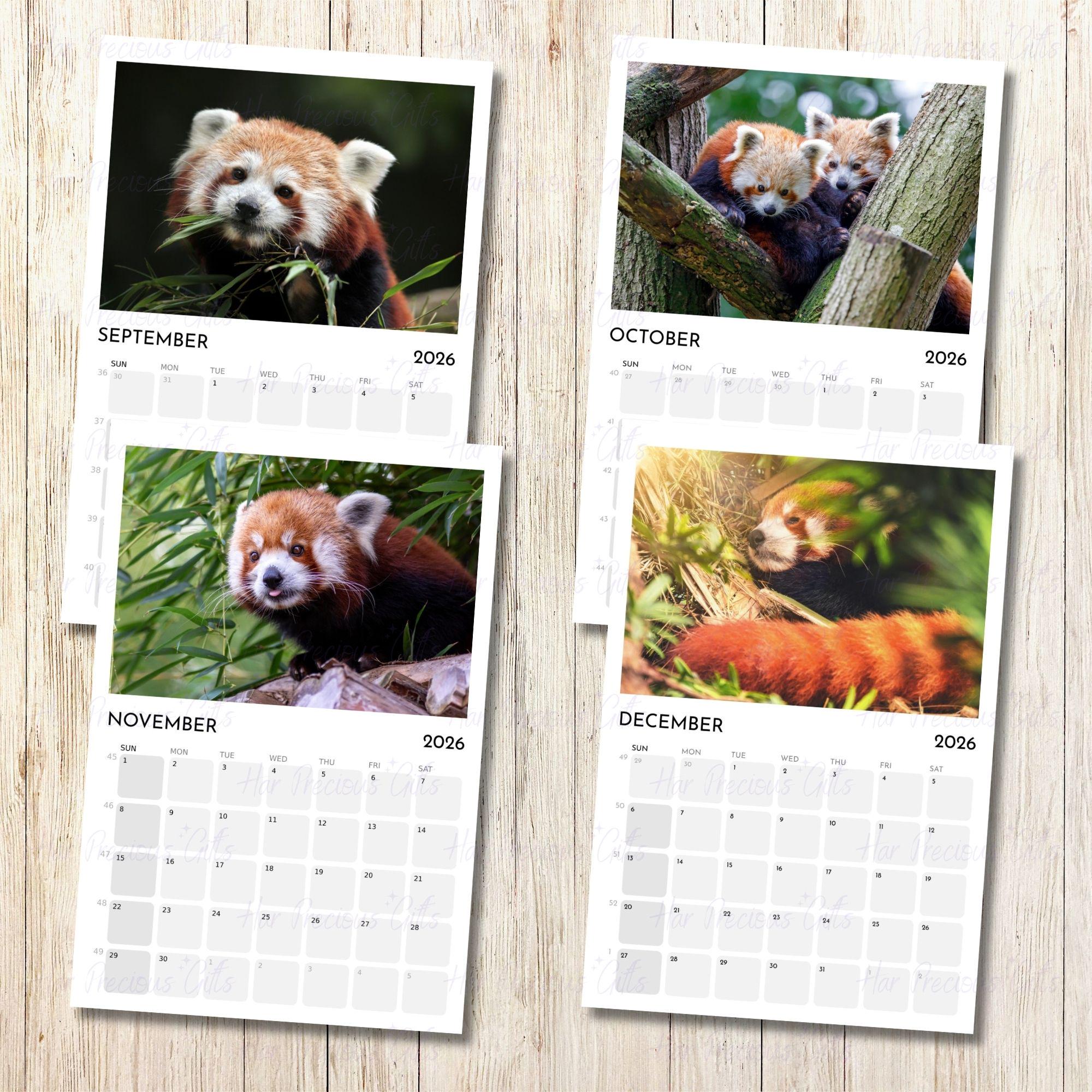 Red Panda Calendar 2026