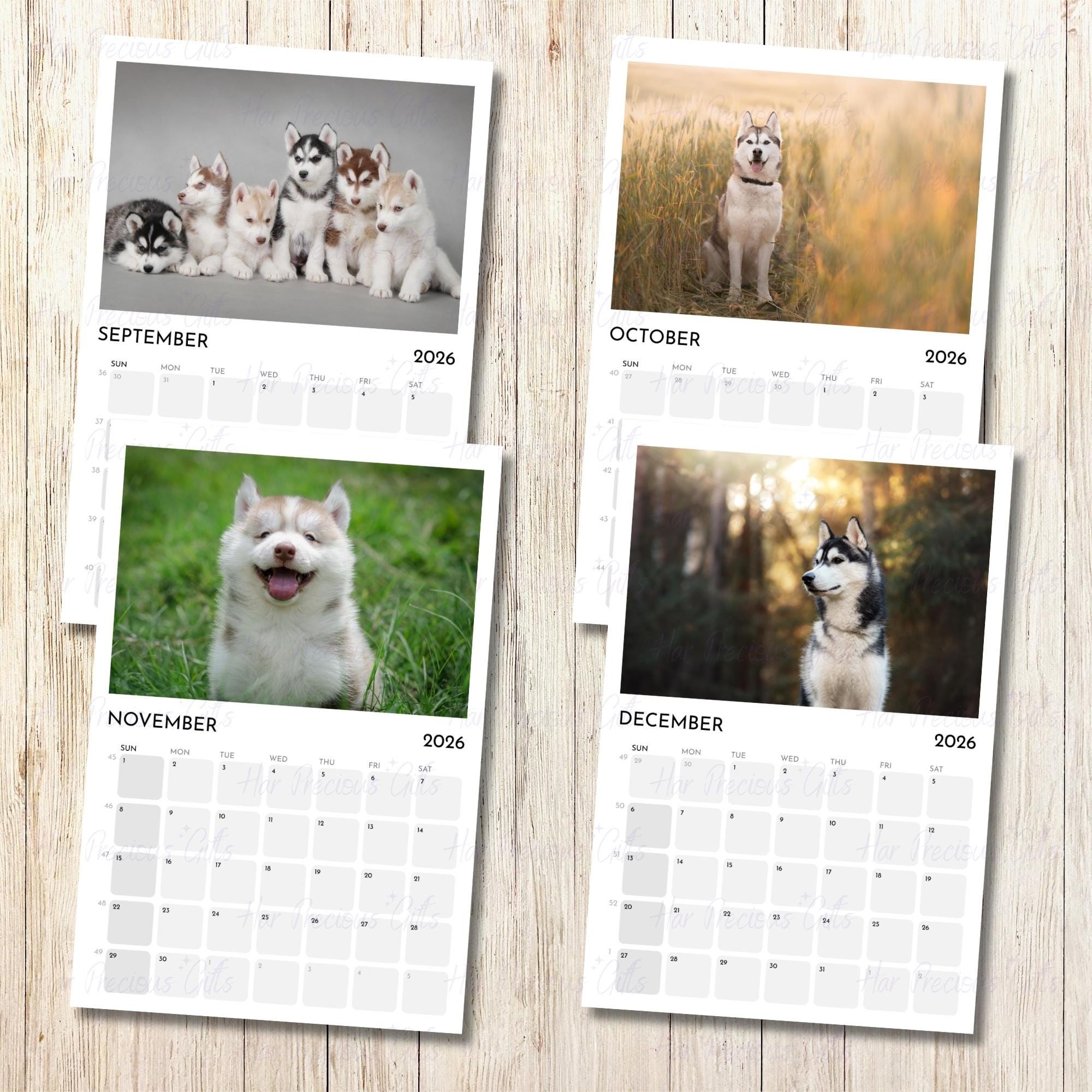 Siberian Husky Calendar 2026