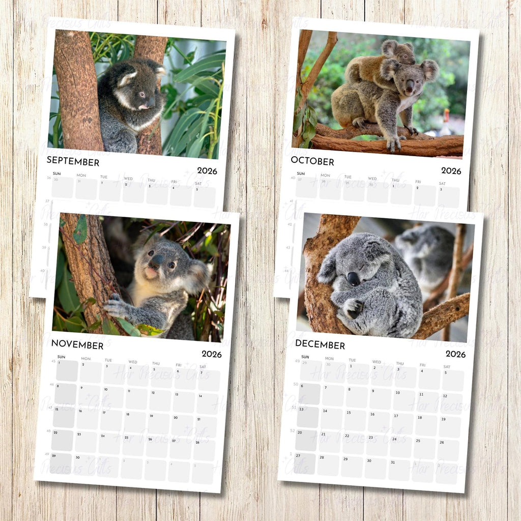 Koala Calendar 2026