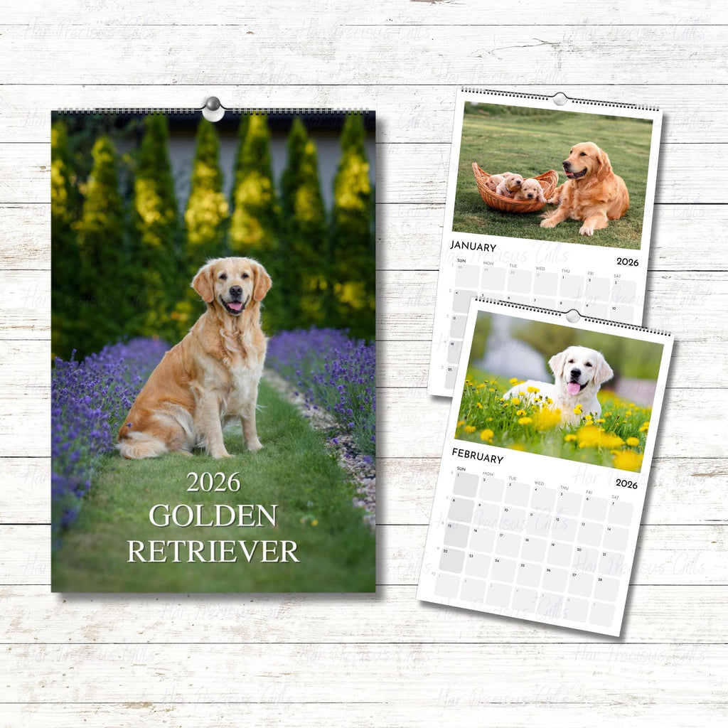 Golden Retriever Calendar 2026