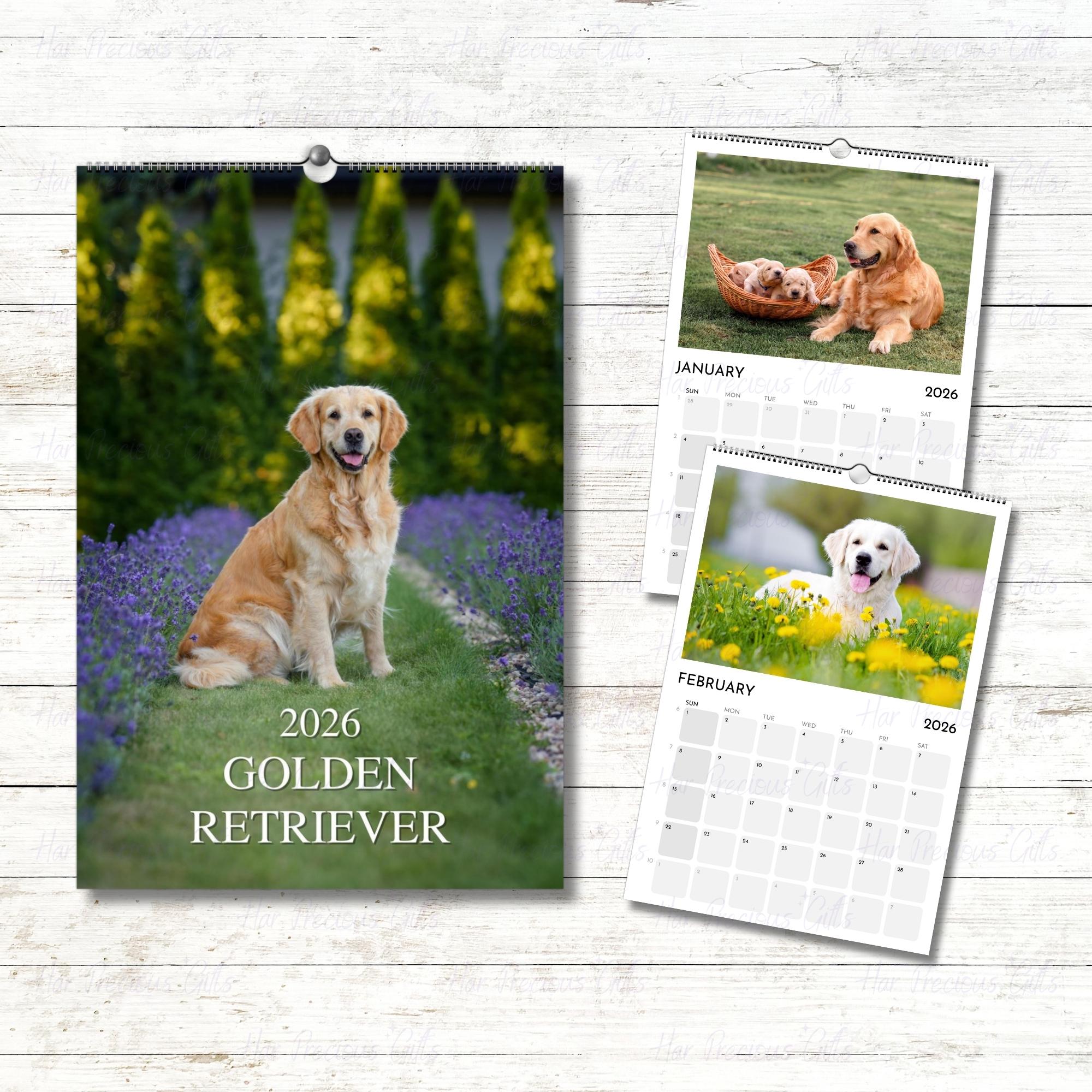 Golden Retriever Calendar 2026