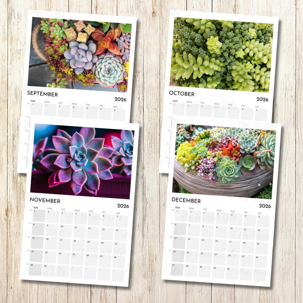 Succulents Calendar 2026