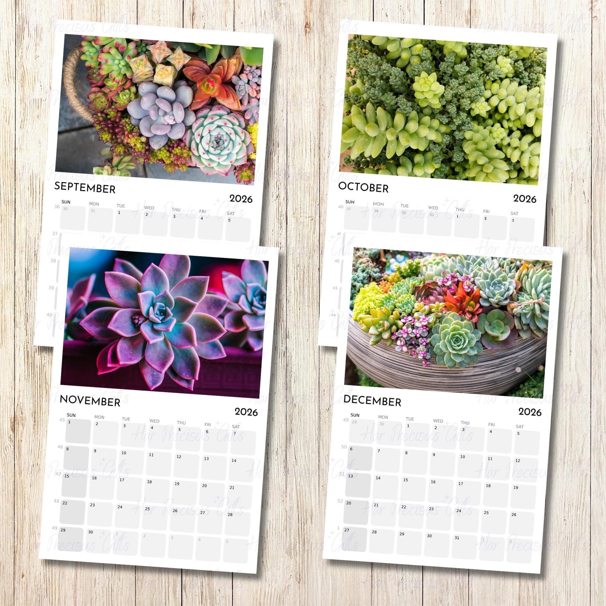 Succulents Calendar 2026