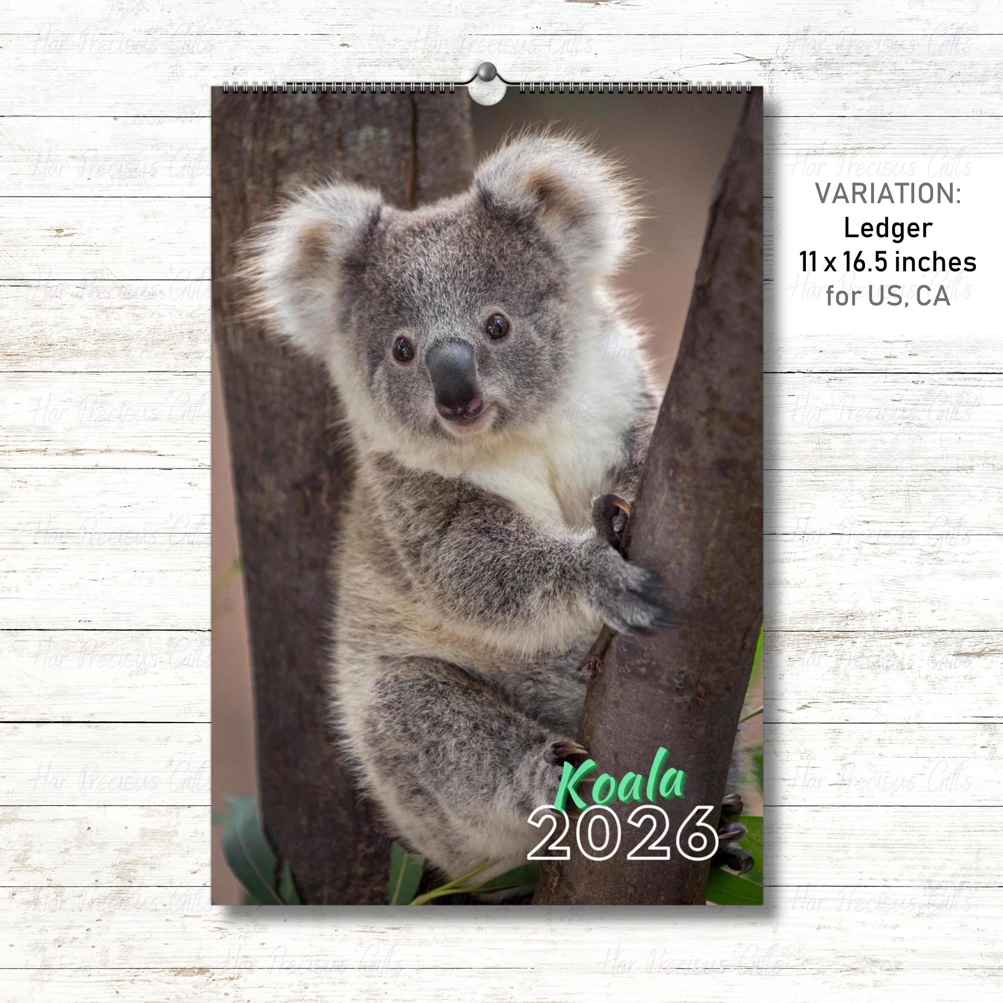 Koala Calendar 2026