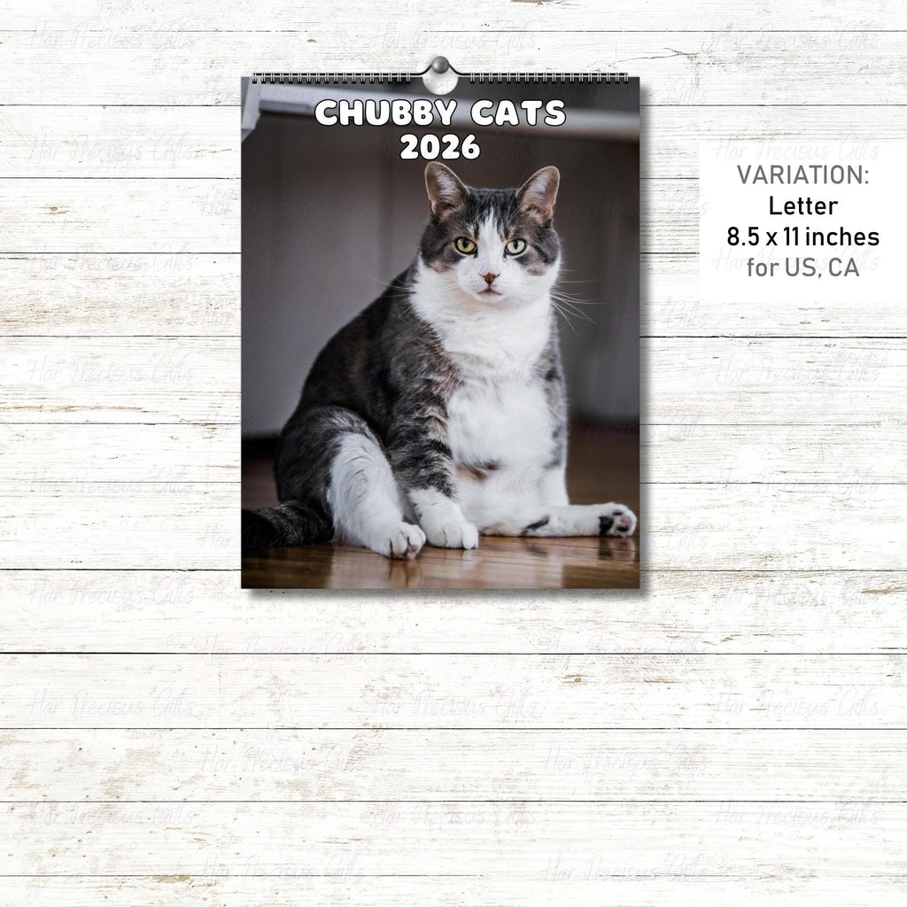 Cute Chubby Cats Calendar 2026