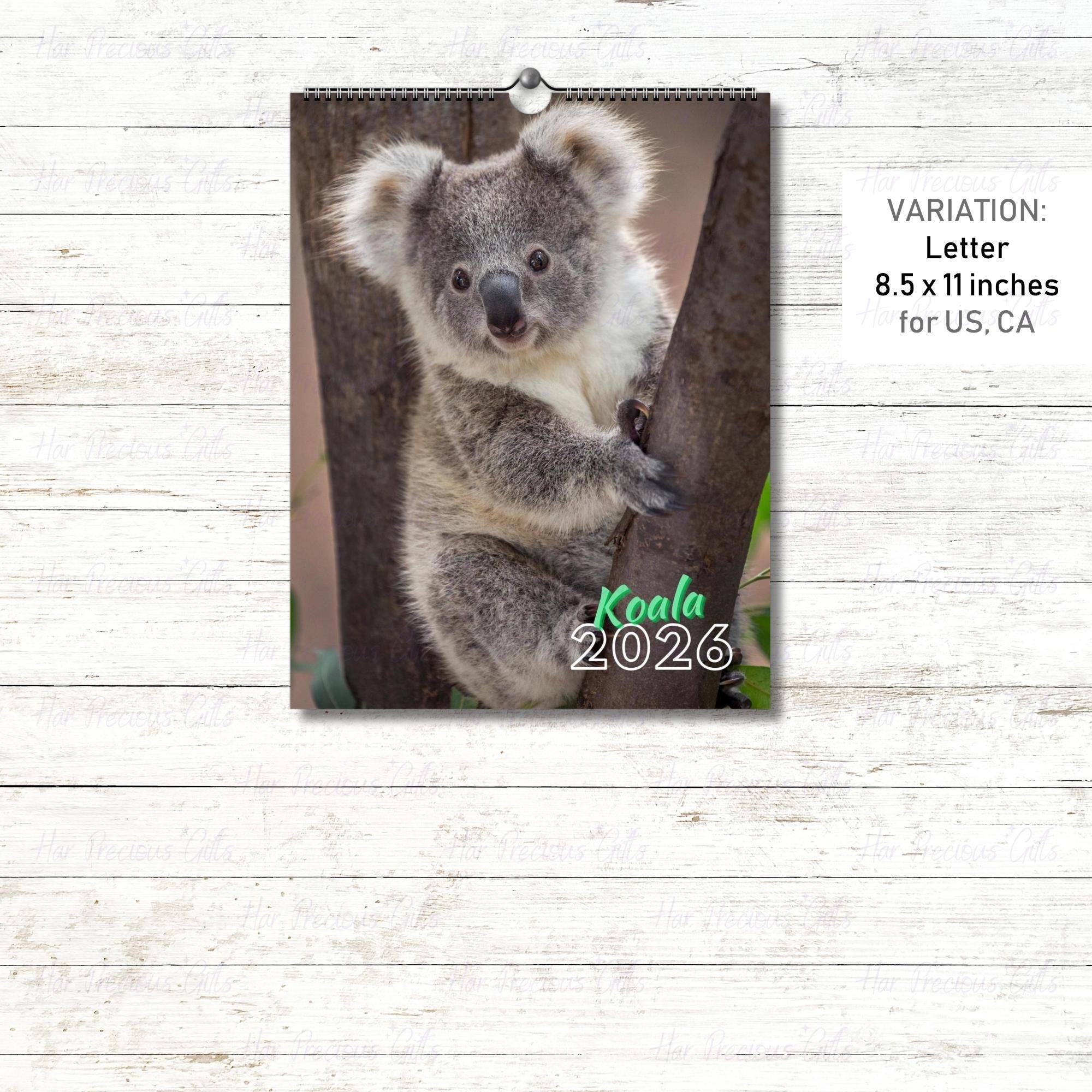 Koala Calendar 2026