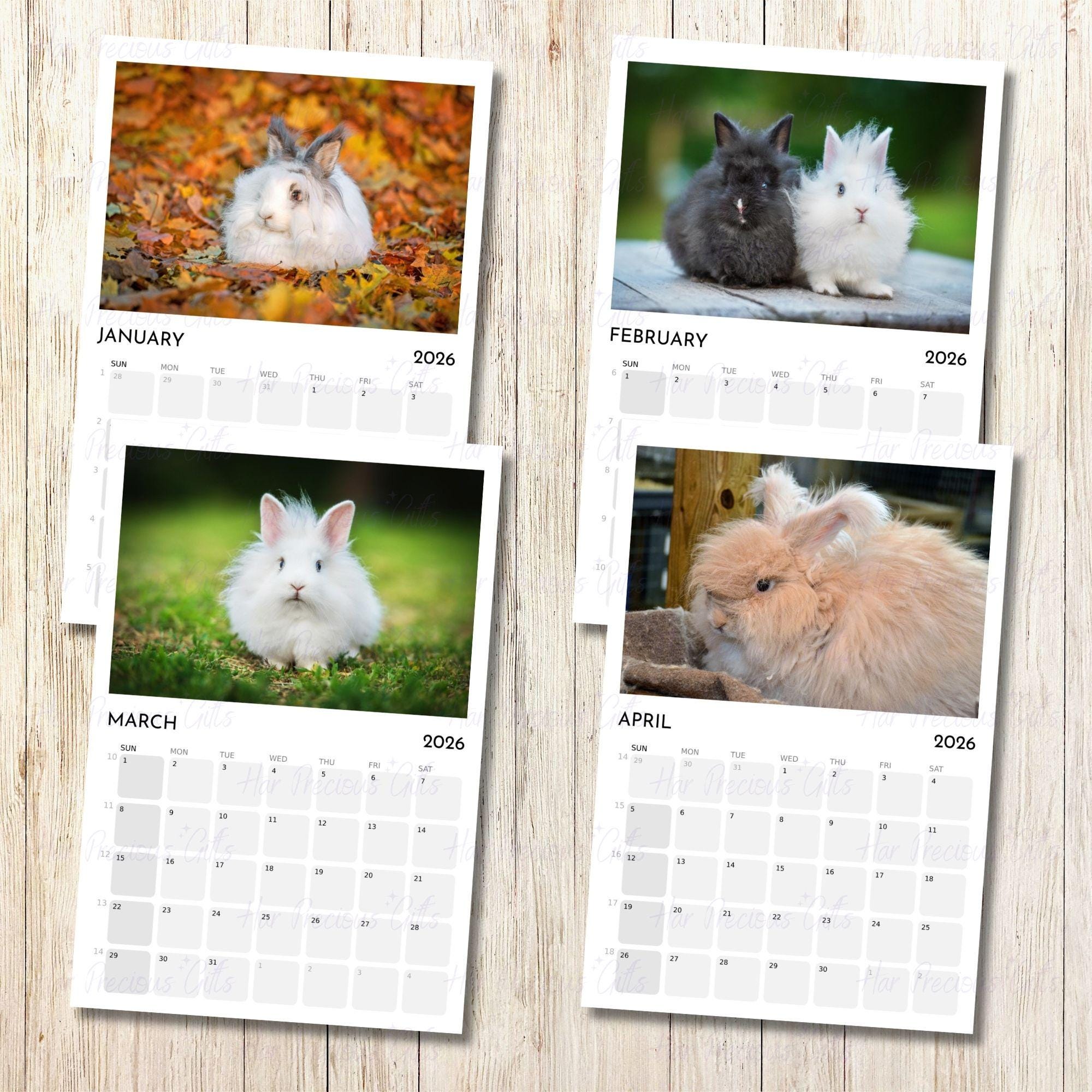 Angora Rabbit Calendar