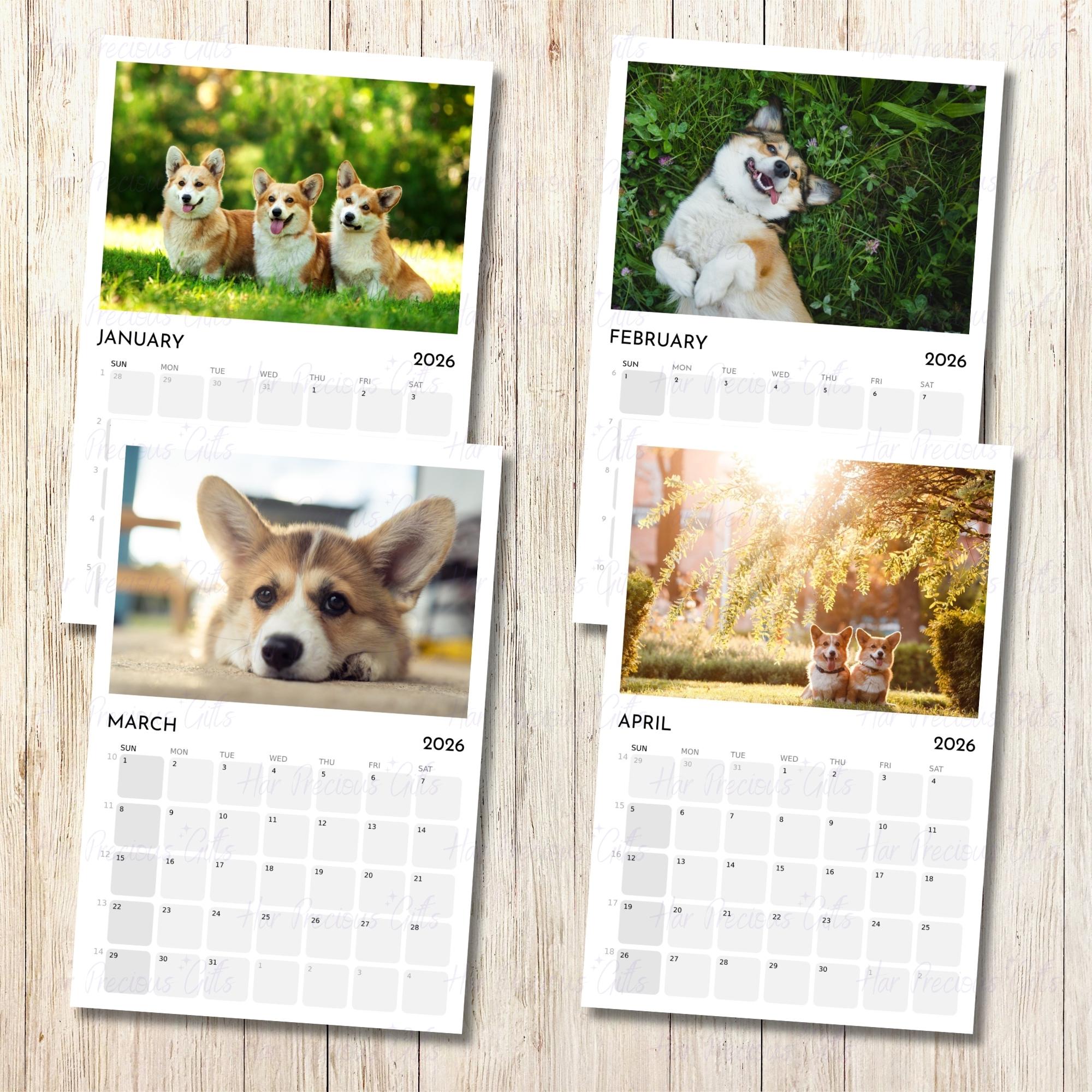 Corgi Calendar 2026