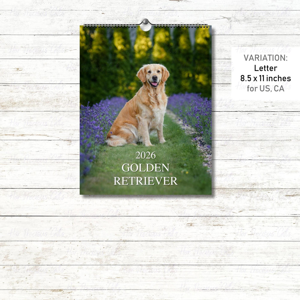 Golden Retriever Calendar 2026