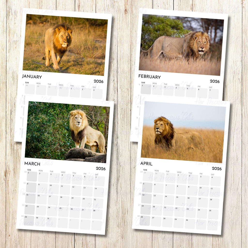 Lion Calendar 2026