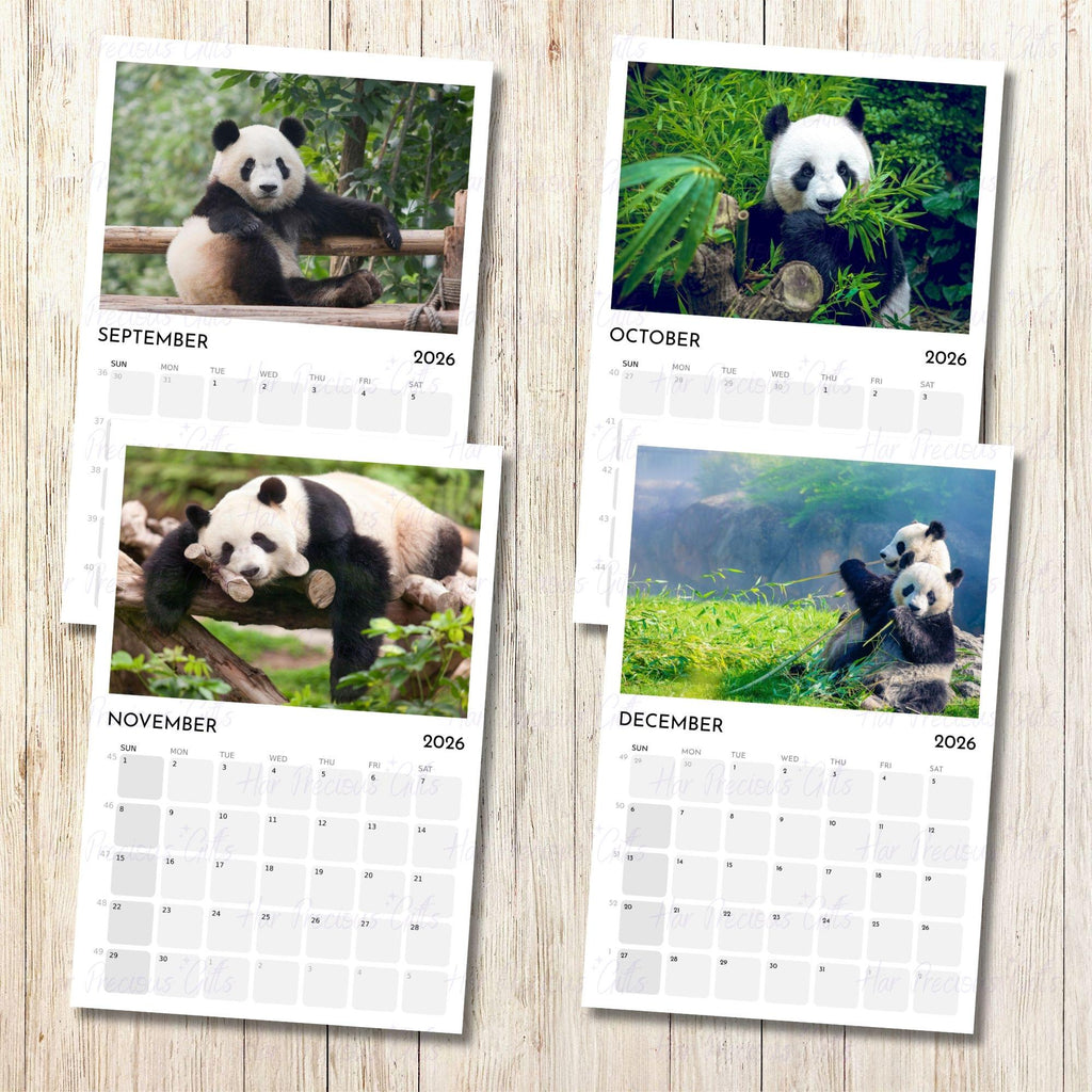 Panda Calendar 2026