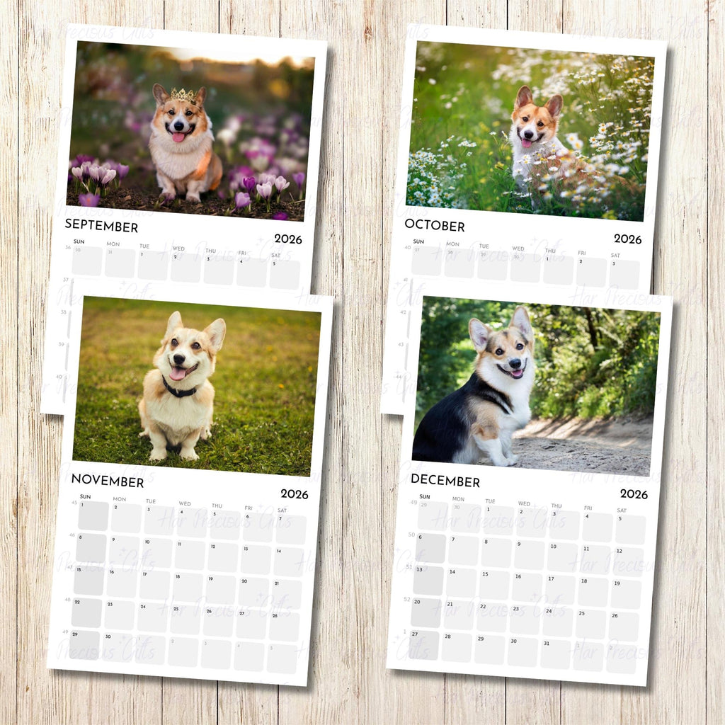 Corgi Calendar 2026