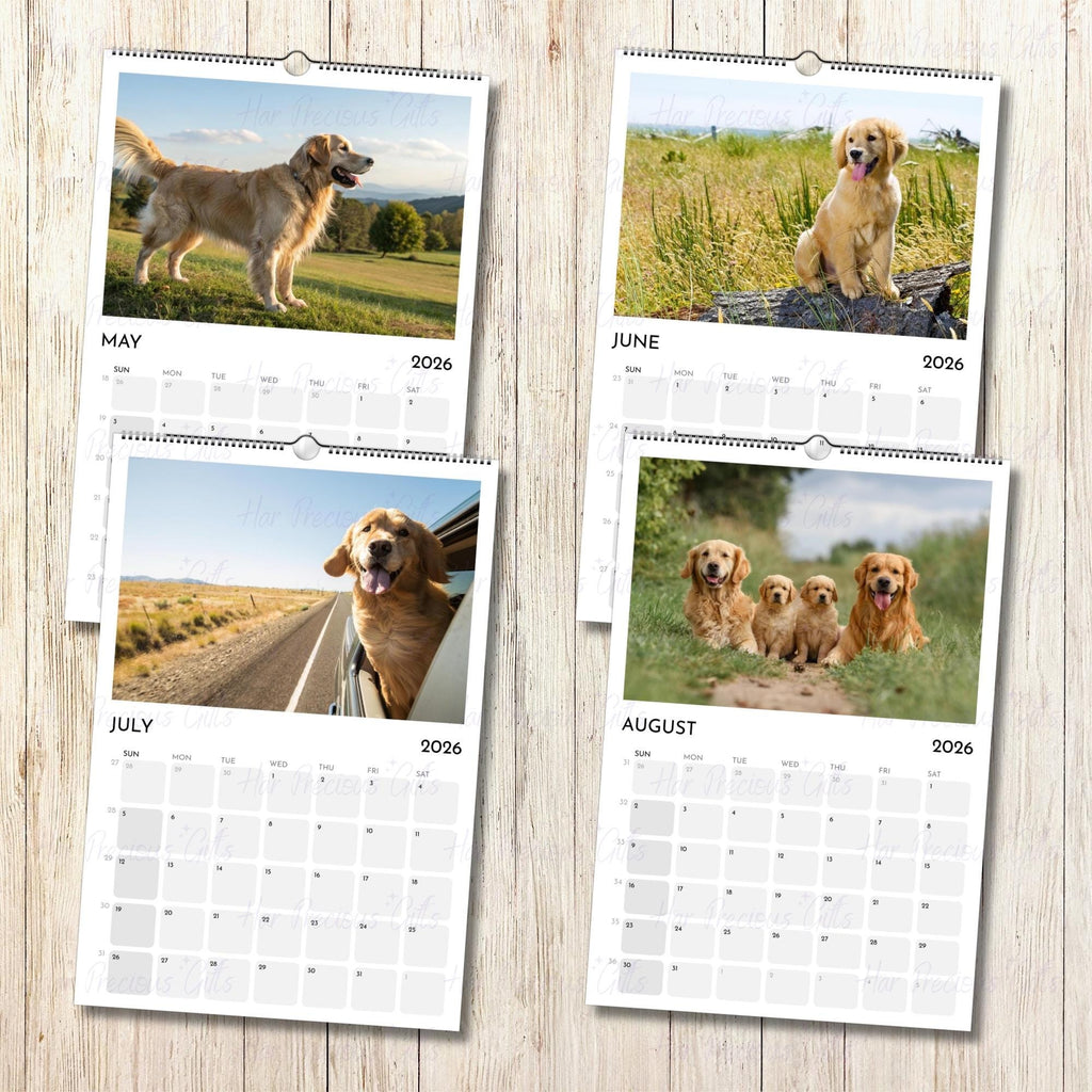 Golden Retriever Calendar 2026