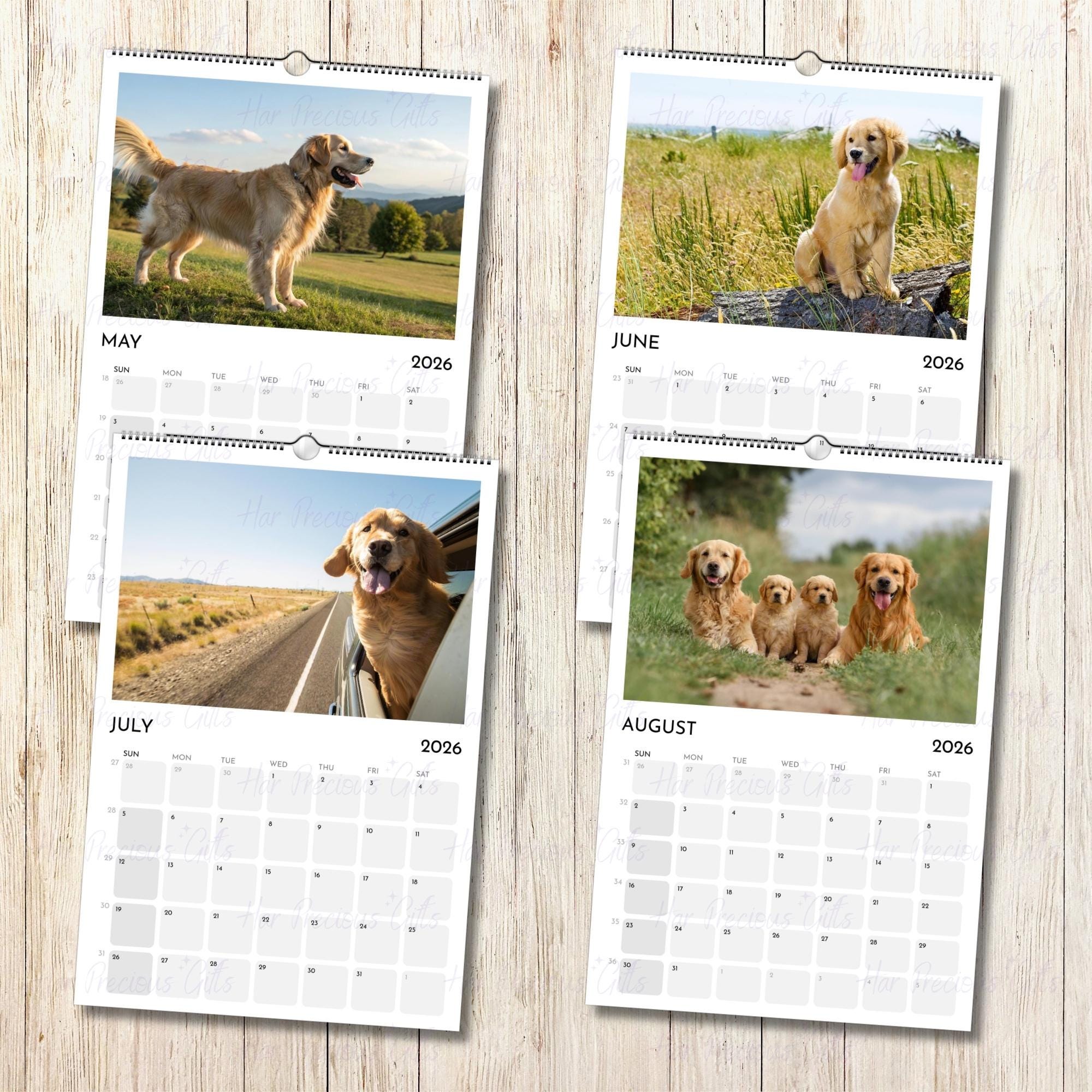 Golden Retriever Calendar 2026