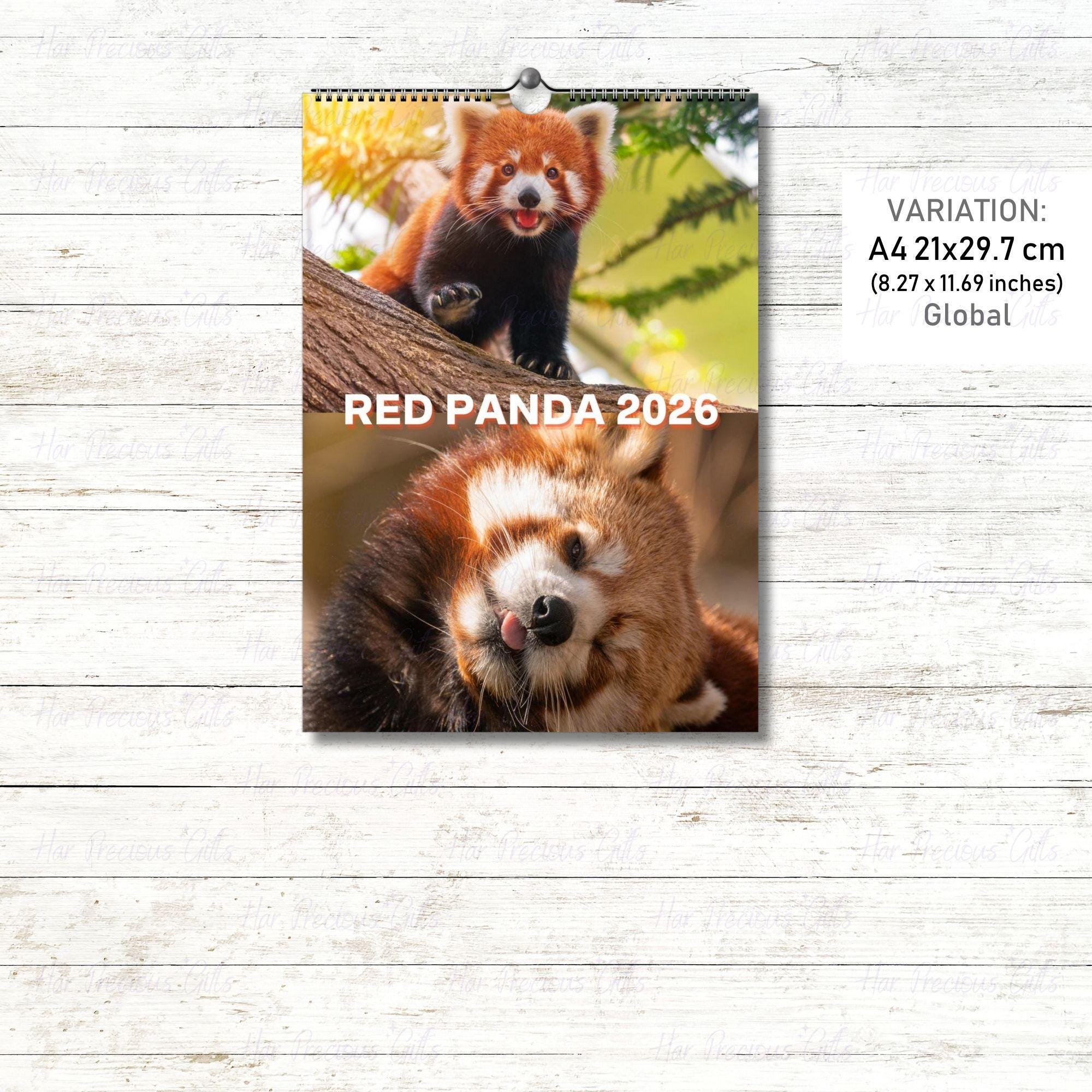 Red Panda Calendar 2026