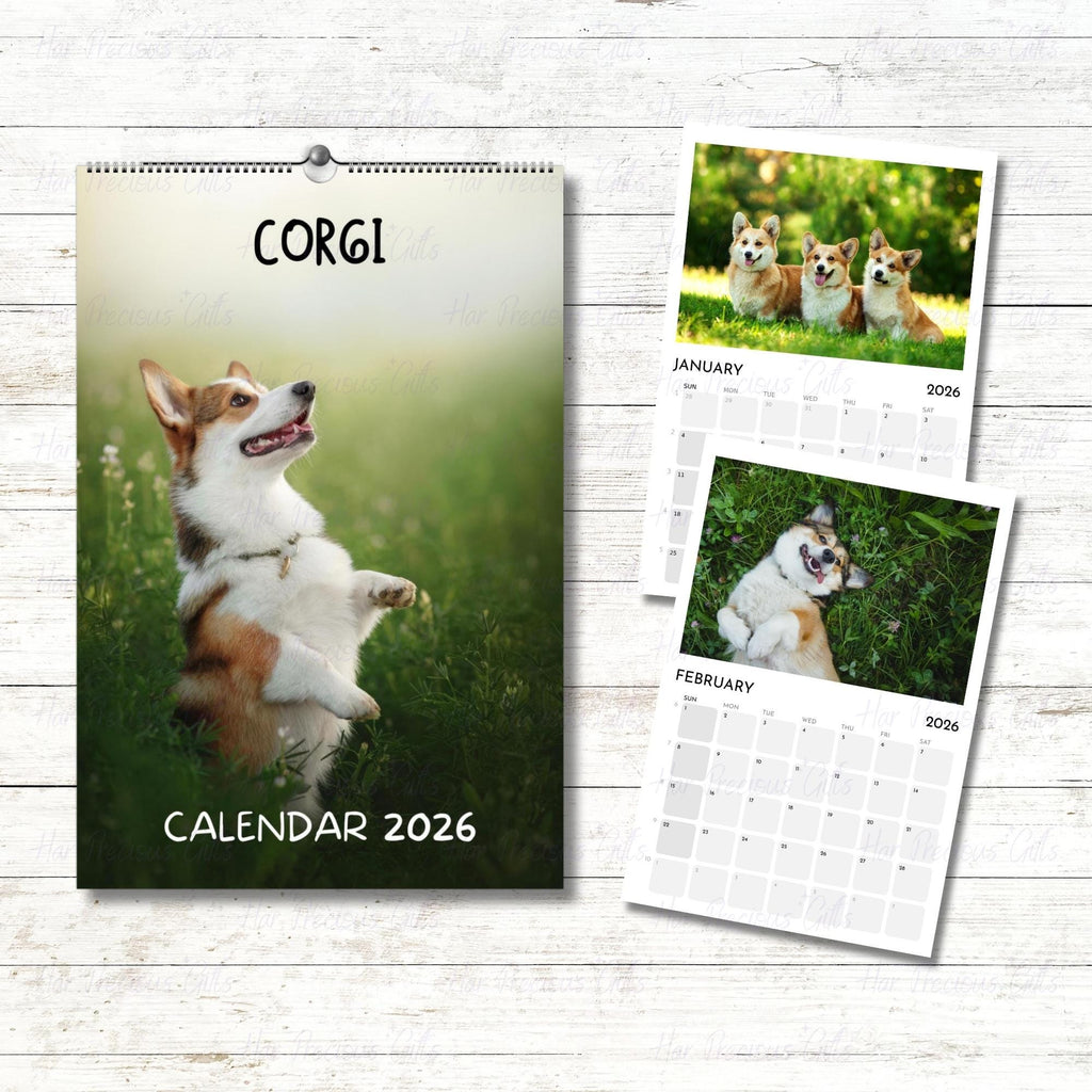 Corgi Calendar 2026