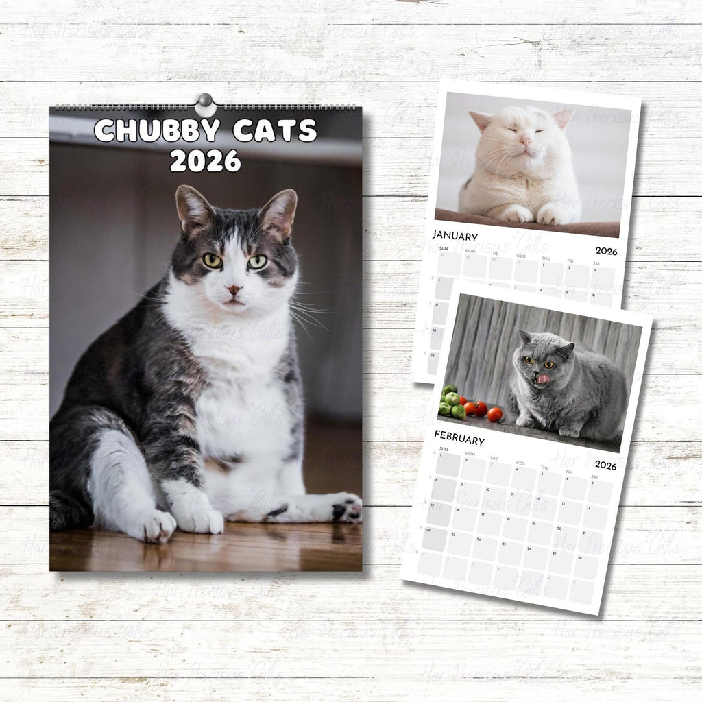 Cute Chubby Cats Calendar 2026