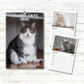 Cute Chubby Cats Calendar 2026