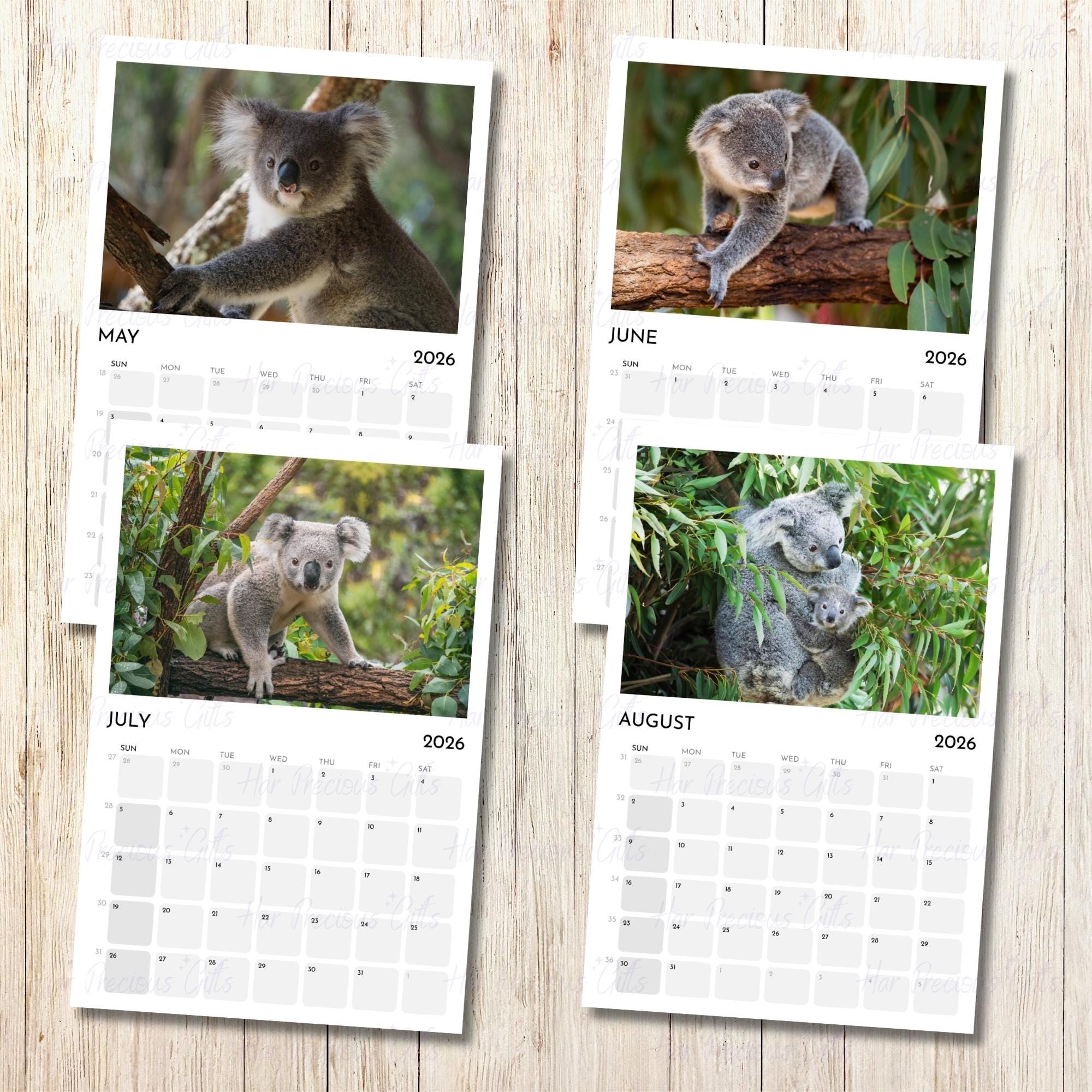 Koala Calendar 2026