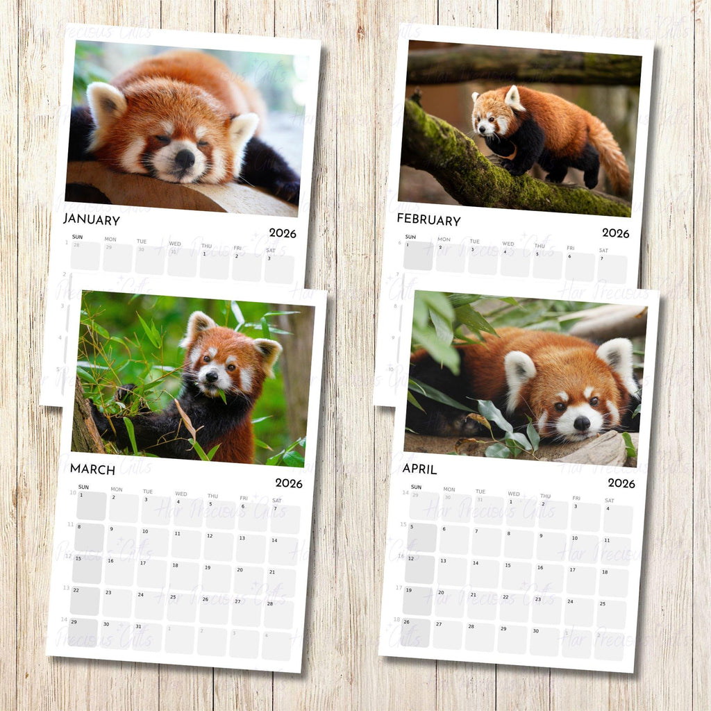 Red Panda Calendar 2026