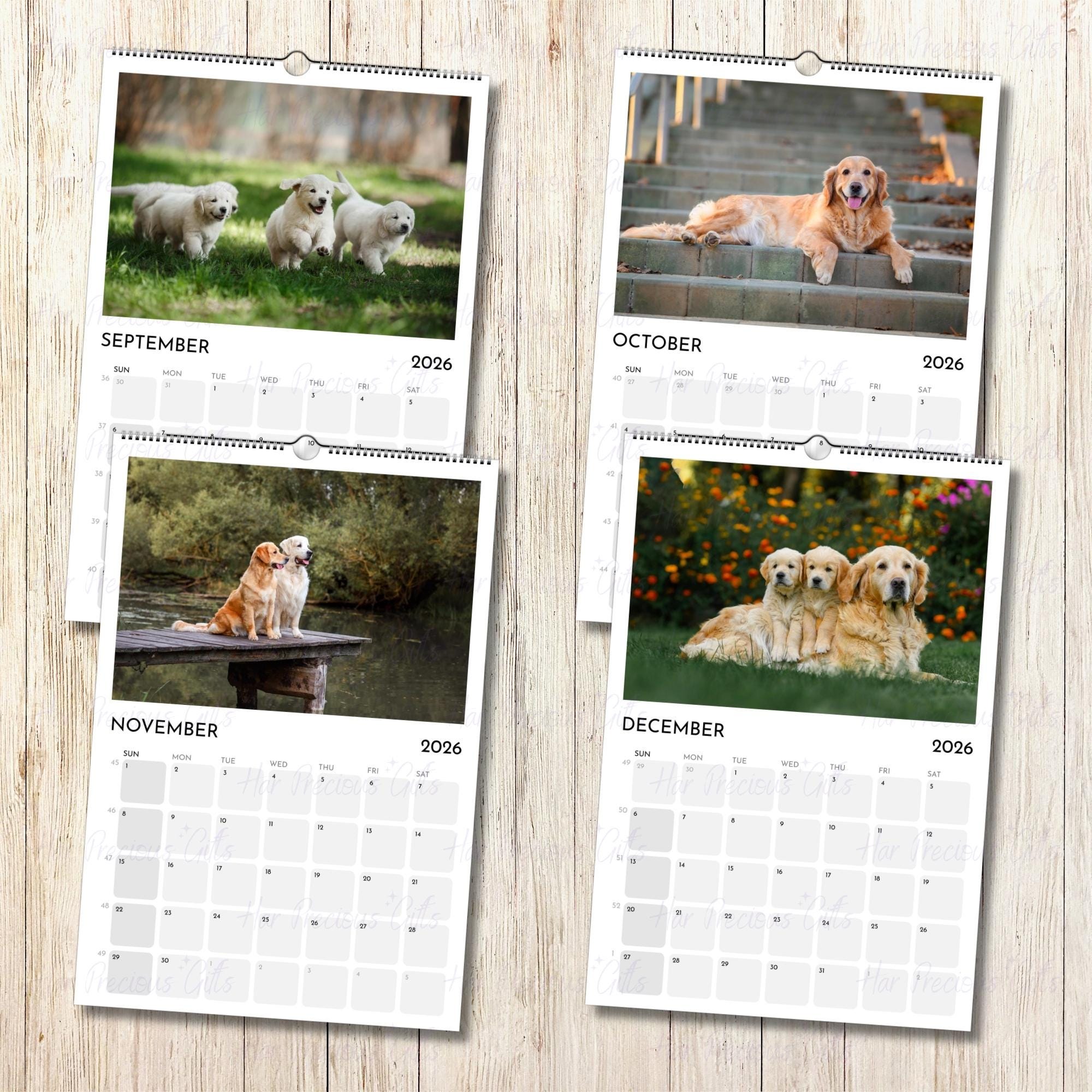 Golden Retriever Calendar 2026