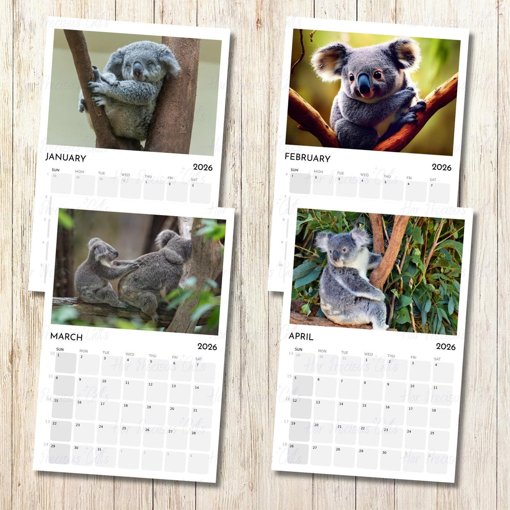 Koala Calendar 2026