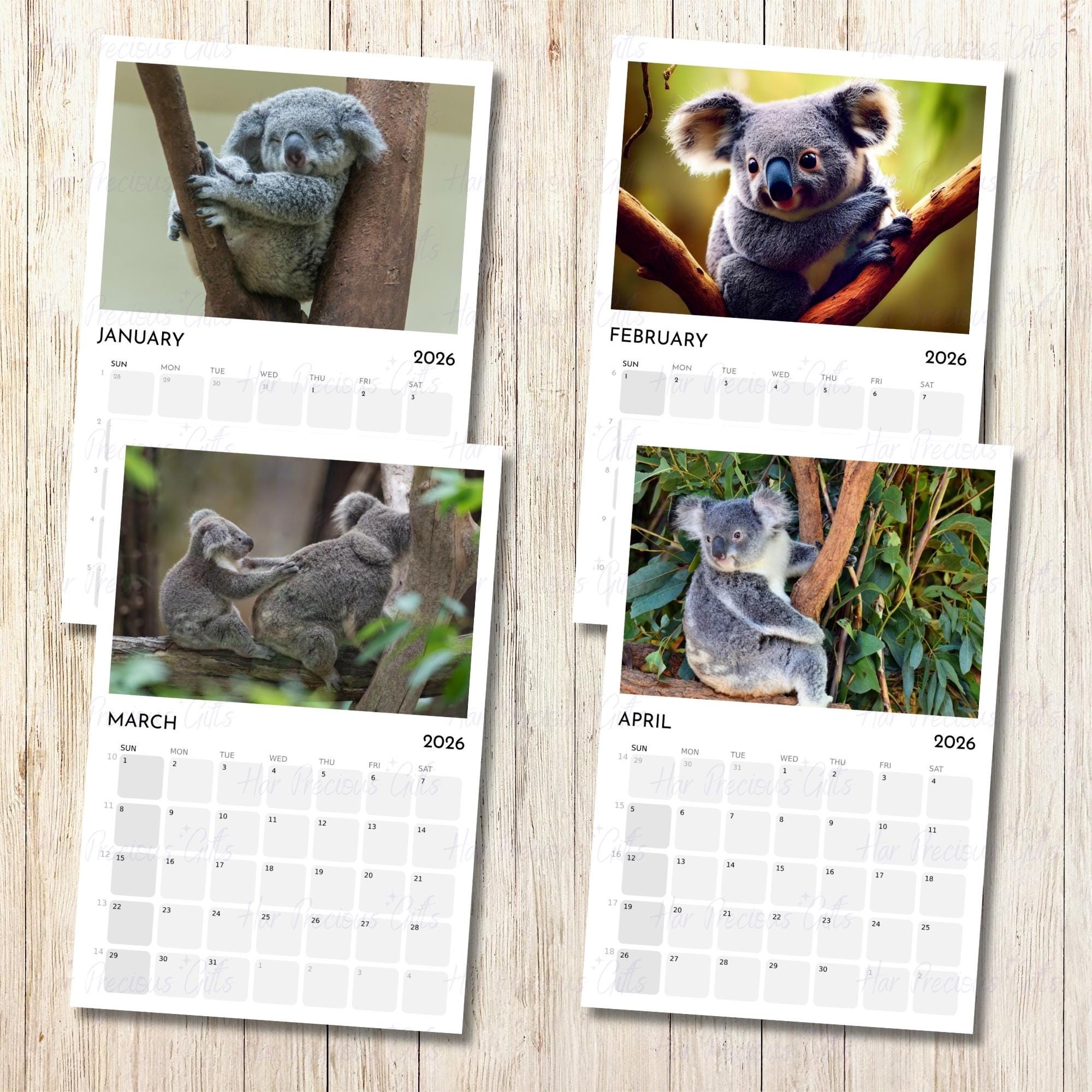Koala Calendar 2026