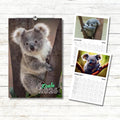 Koala Calendar 2026