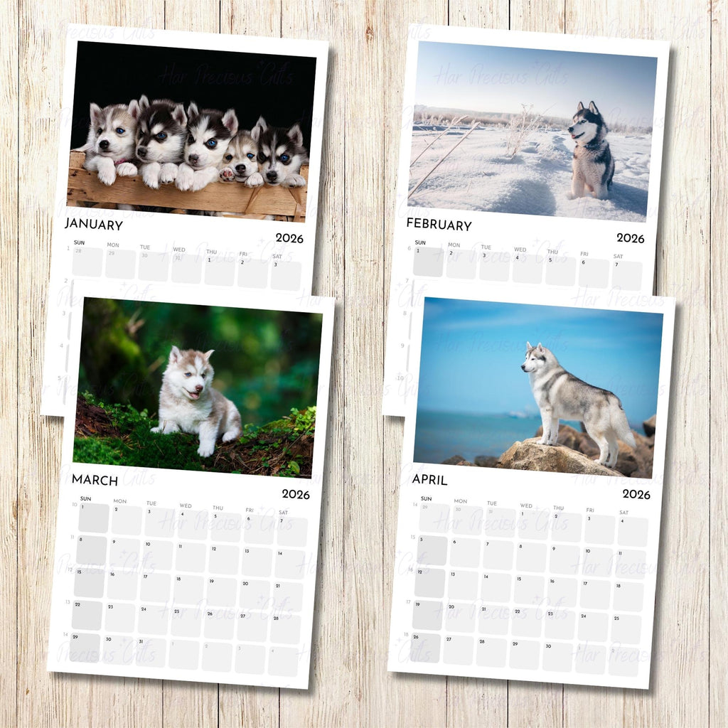 Siberian Husky Calendar 2026