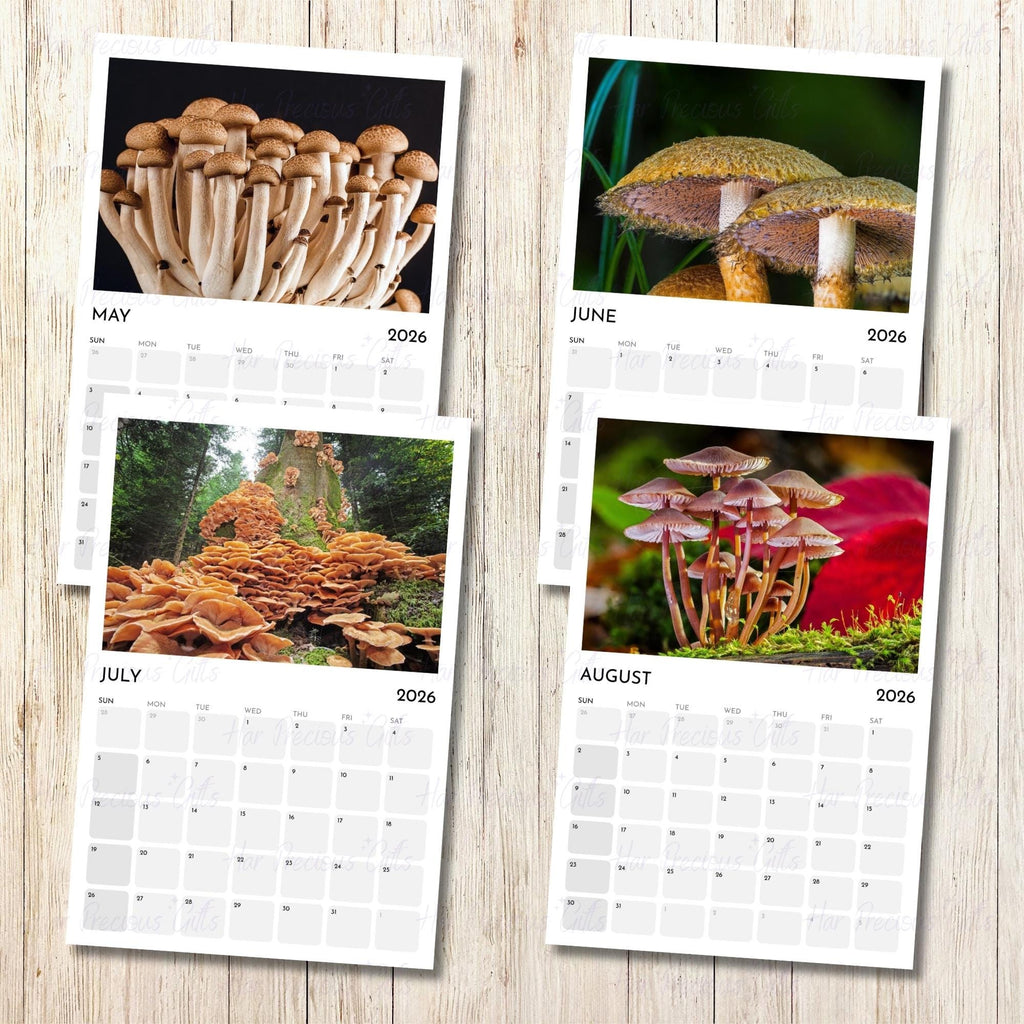 Calendar Mushroom