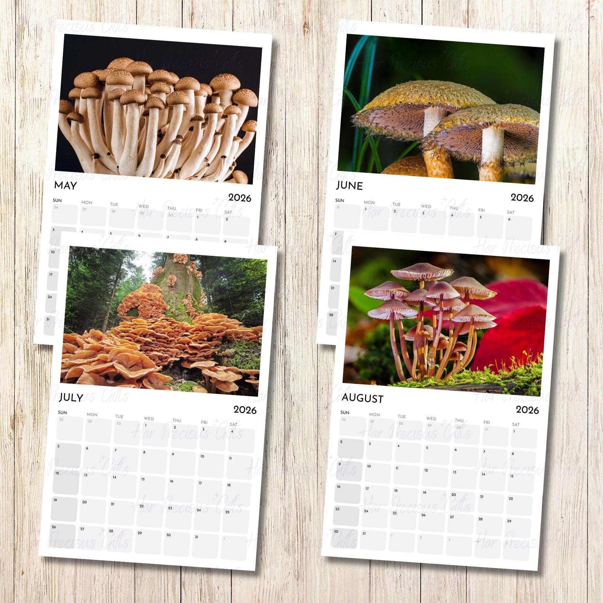 Calendar Mushroom