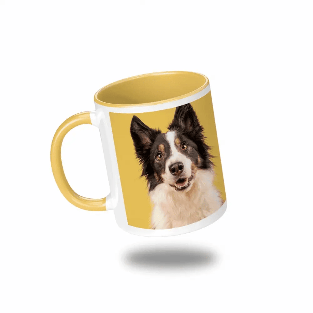 Colorful Ceramic Mugs 11oz