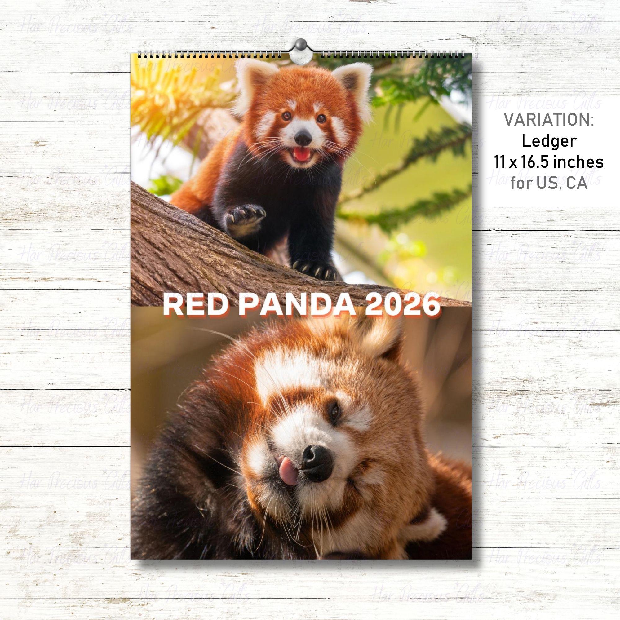 Red Panda Calendar 2026
