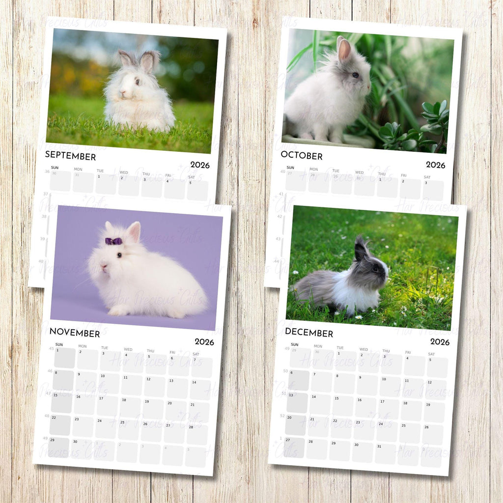 Angora Rabbit Calendar