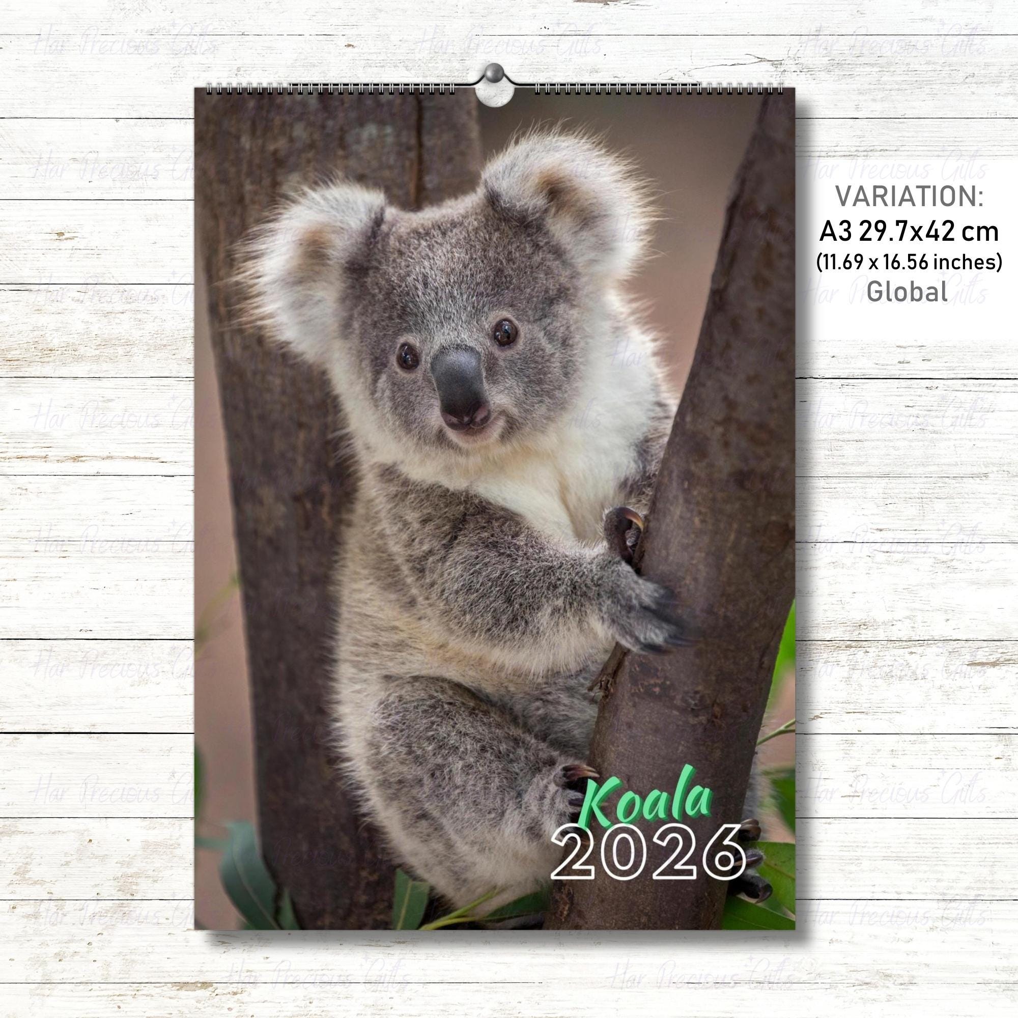 Koala Calendar 2026