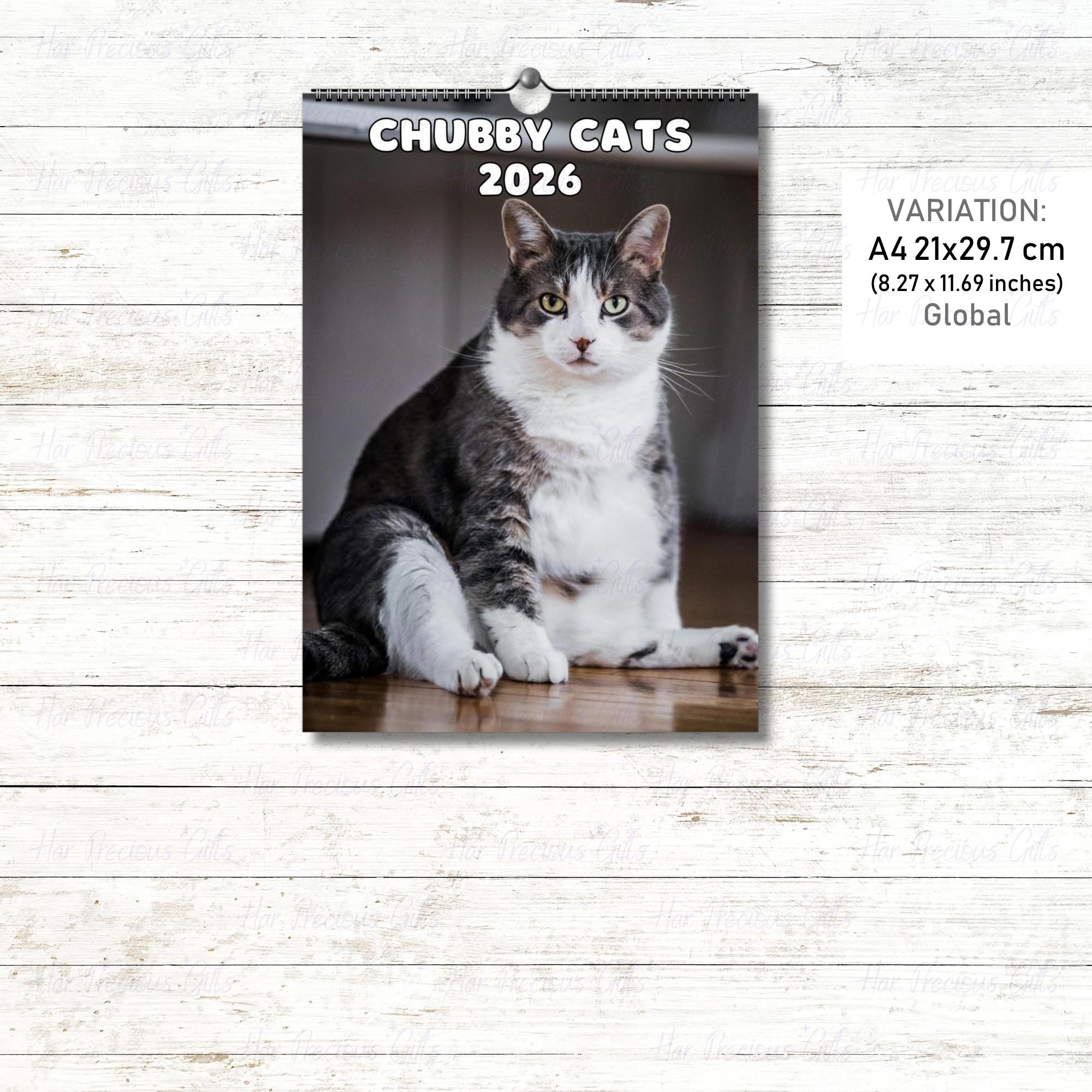 Cute Chubby Cats Calendar 2026