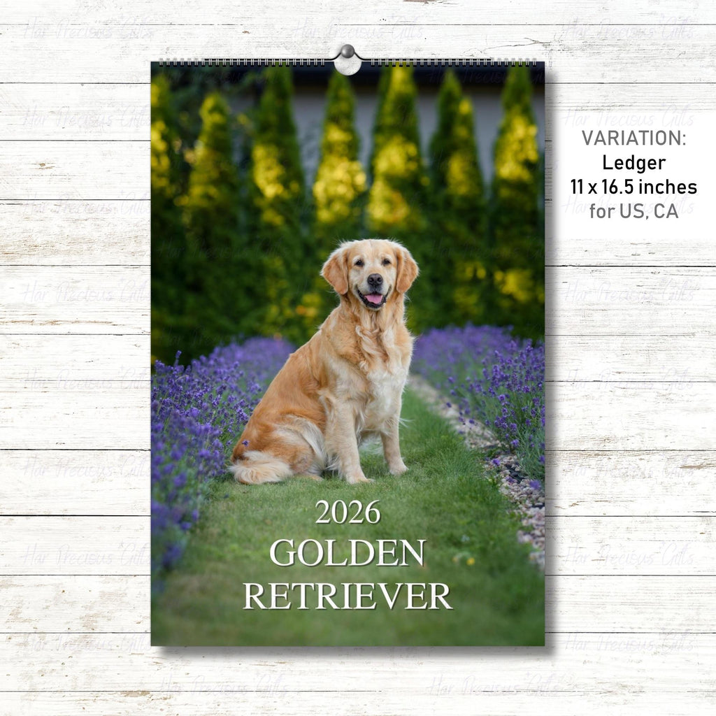 Golden Retriever Calendar 2026