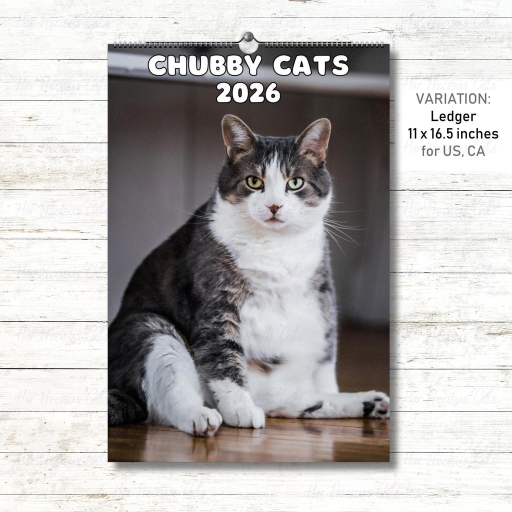 Cute Chubby Cats Calendar 2026