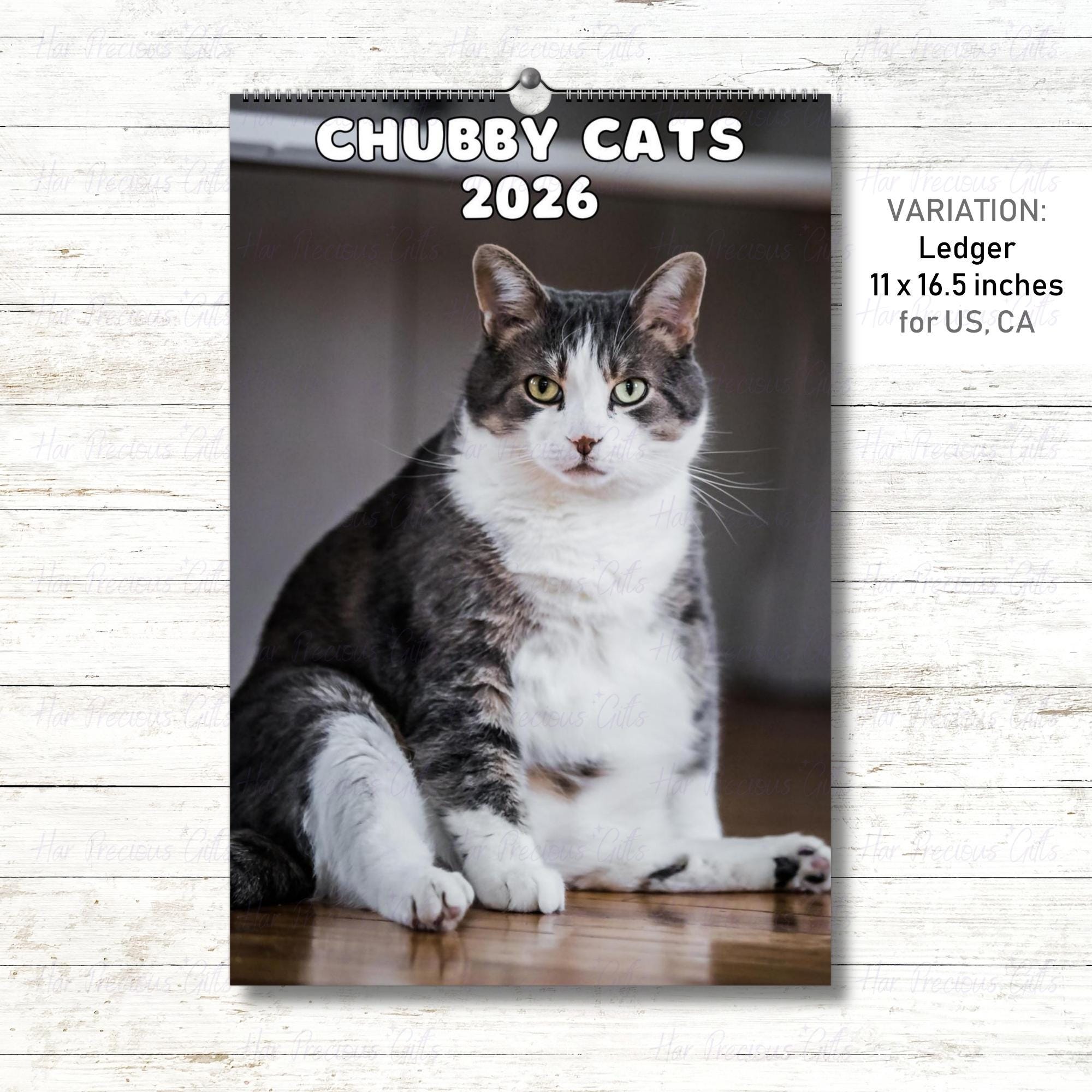 Cute Chubby Cats Calendar 2026