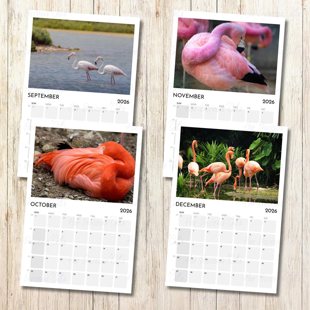 Flamingo Wall Calendar 2026