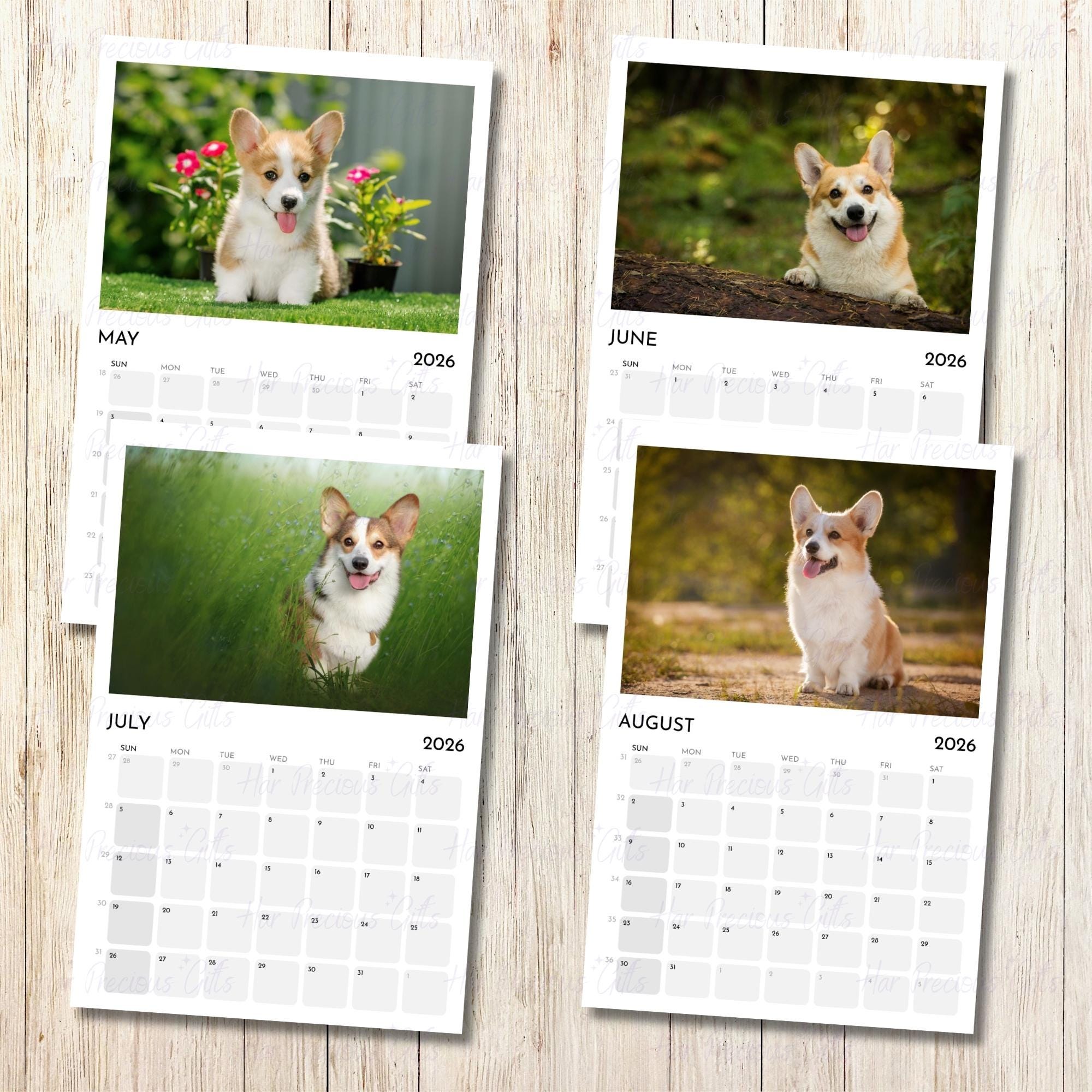 Corgi Calendar 2026