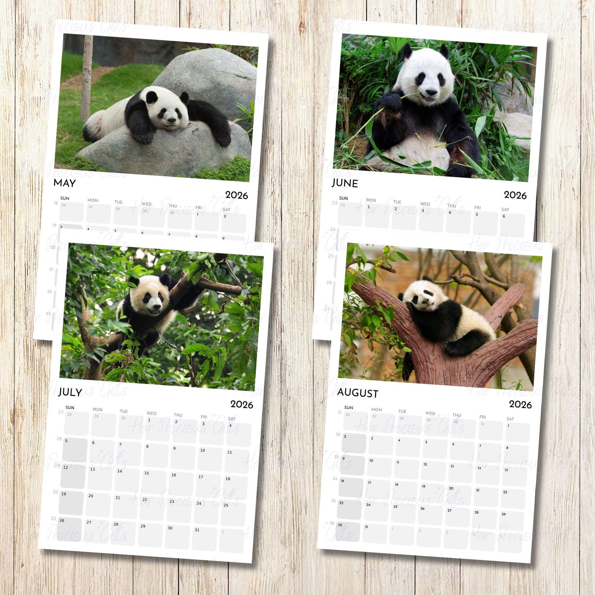Panda Calendar 2026