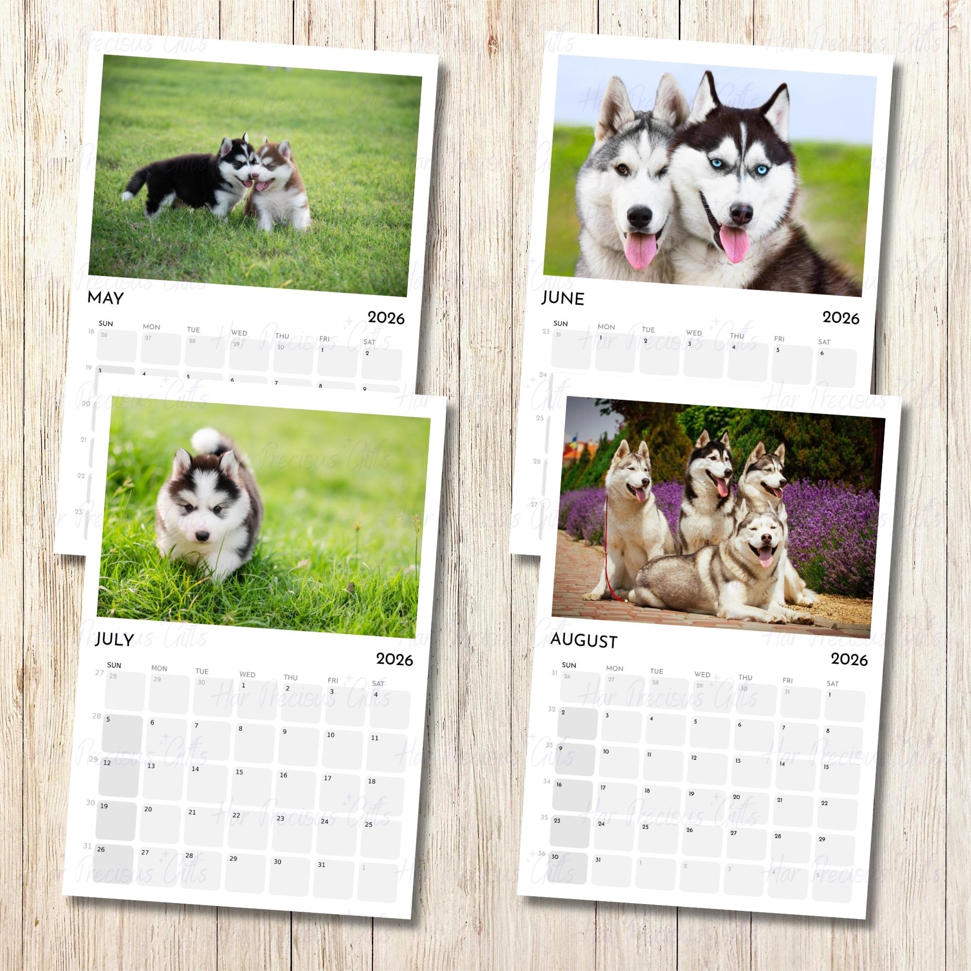 Siberian Husky Calendar 2026