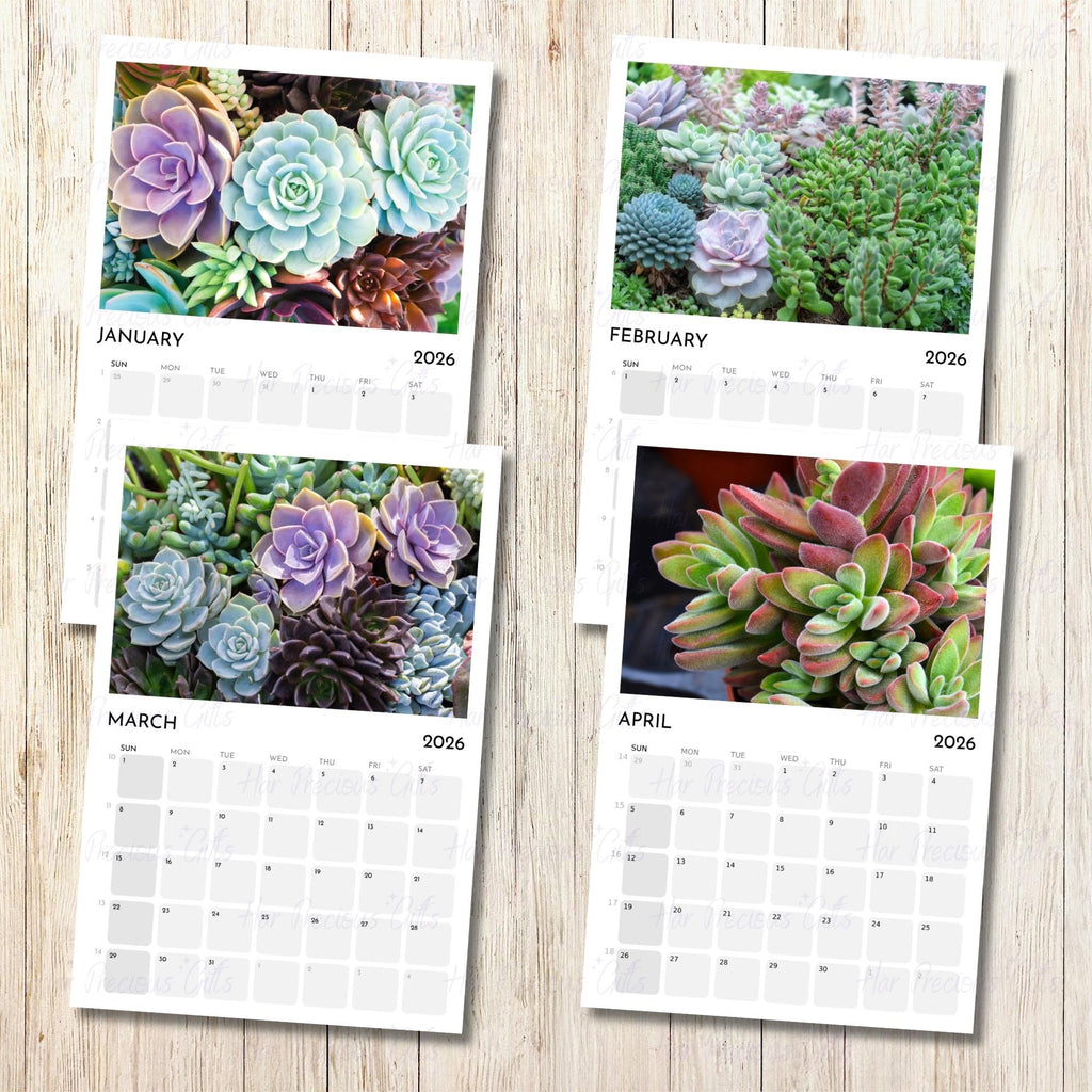 Succulents Calendar 2026