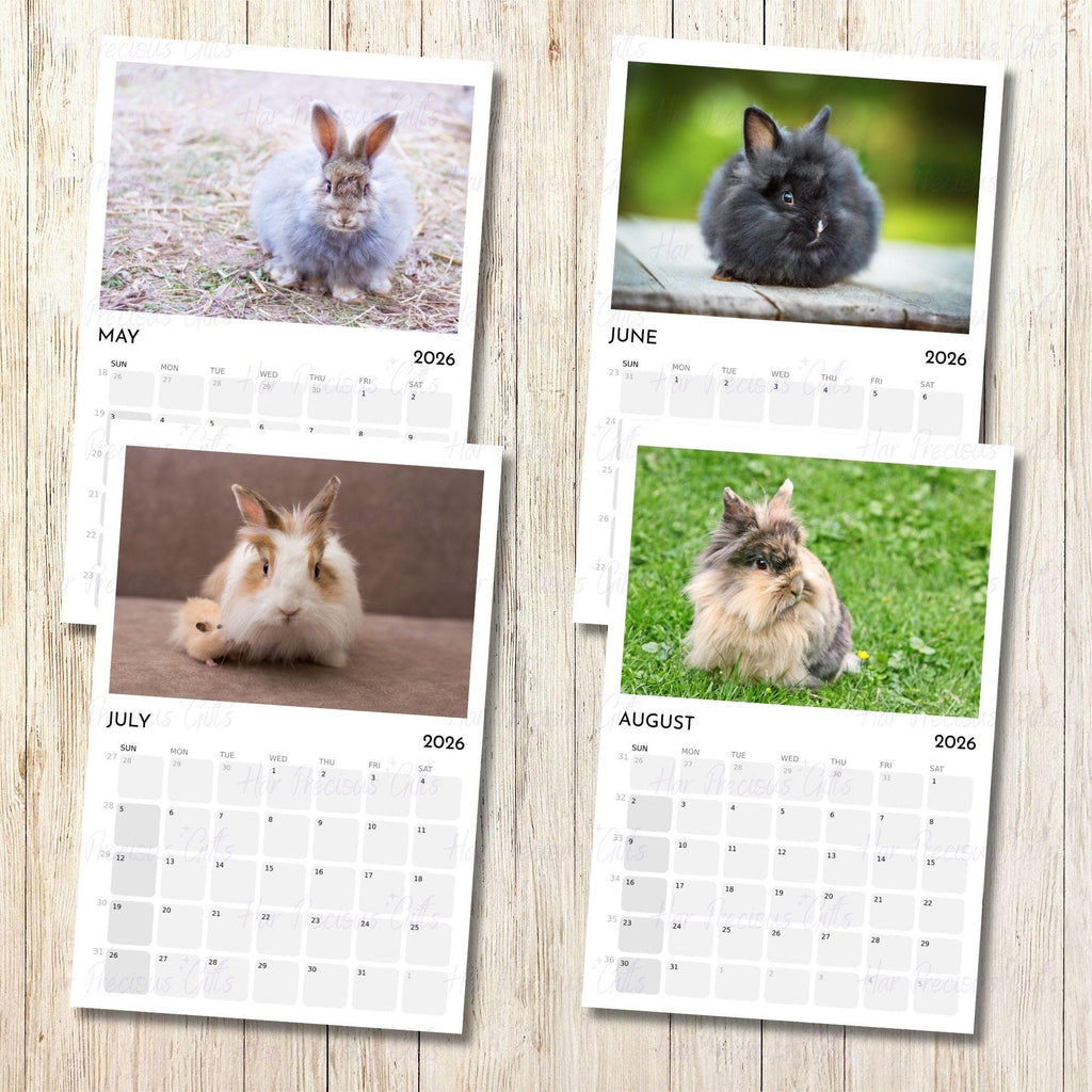 Angora Rabbit Calendar