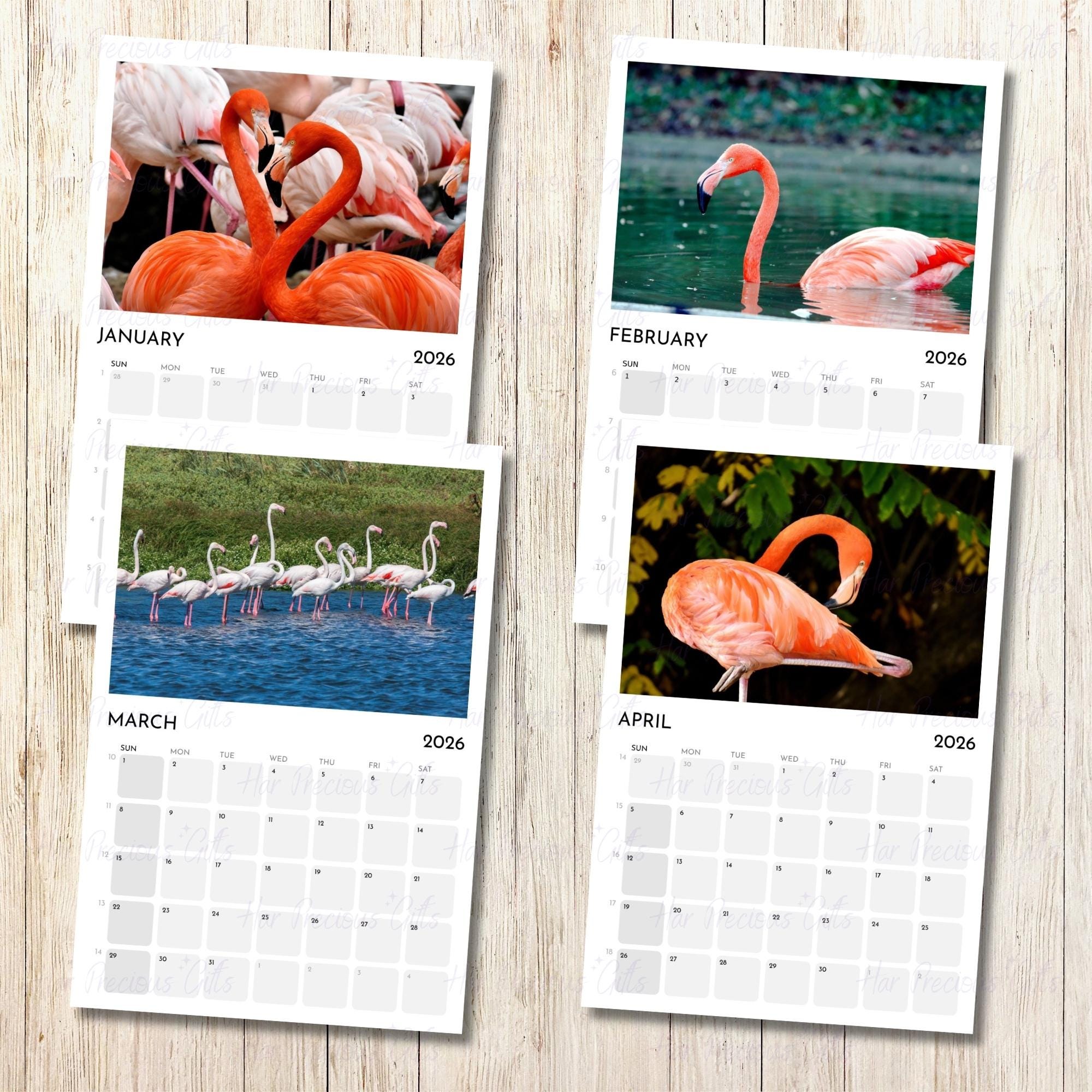 Flamingo Wall Calendar 2026